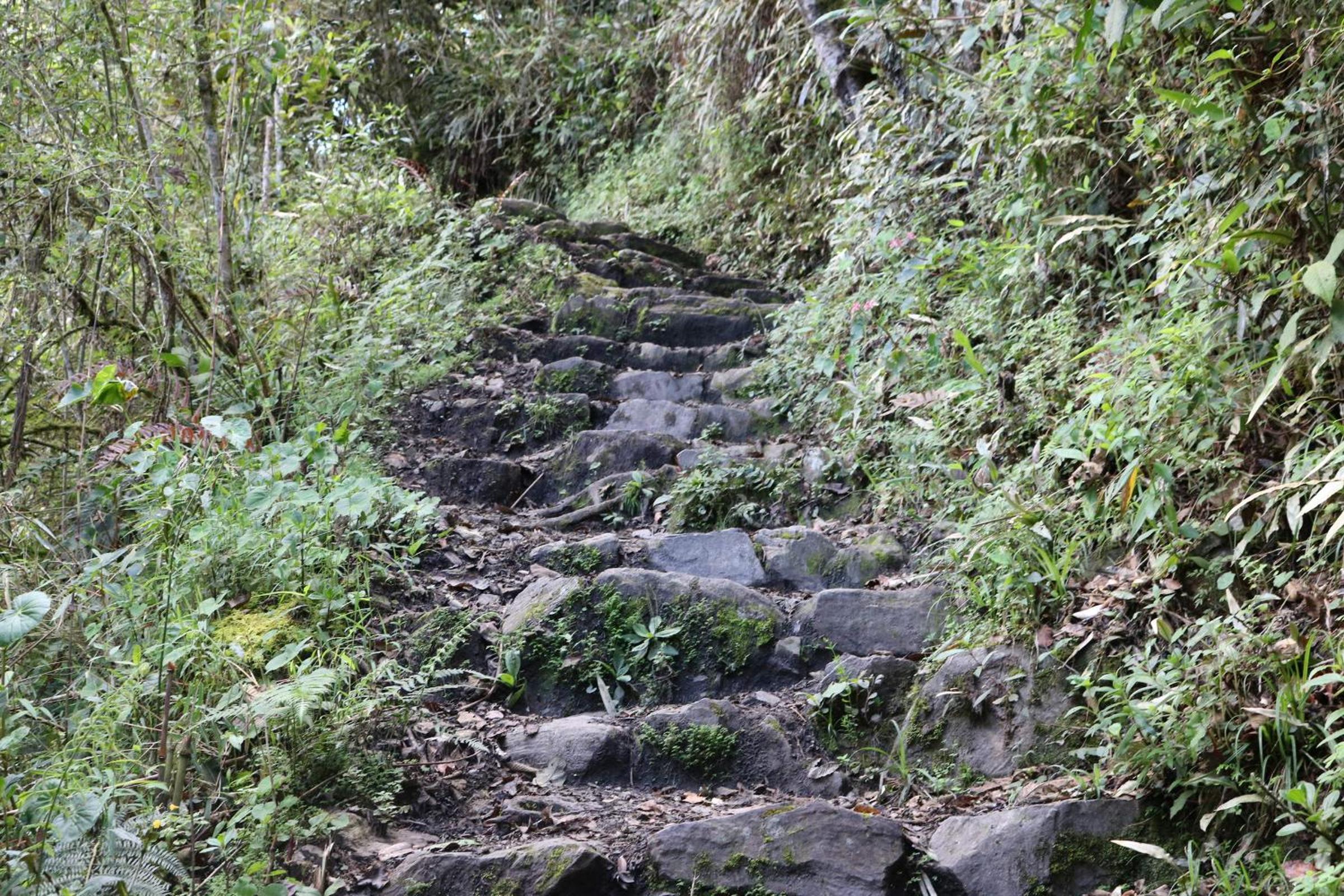 Llactapata Lodge overlooking Machu Picchu - camping - restaurant