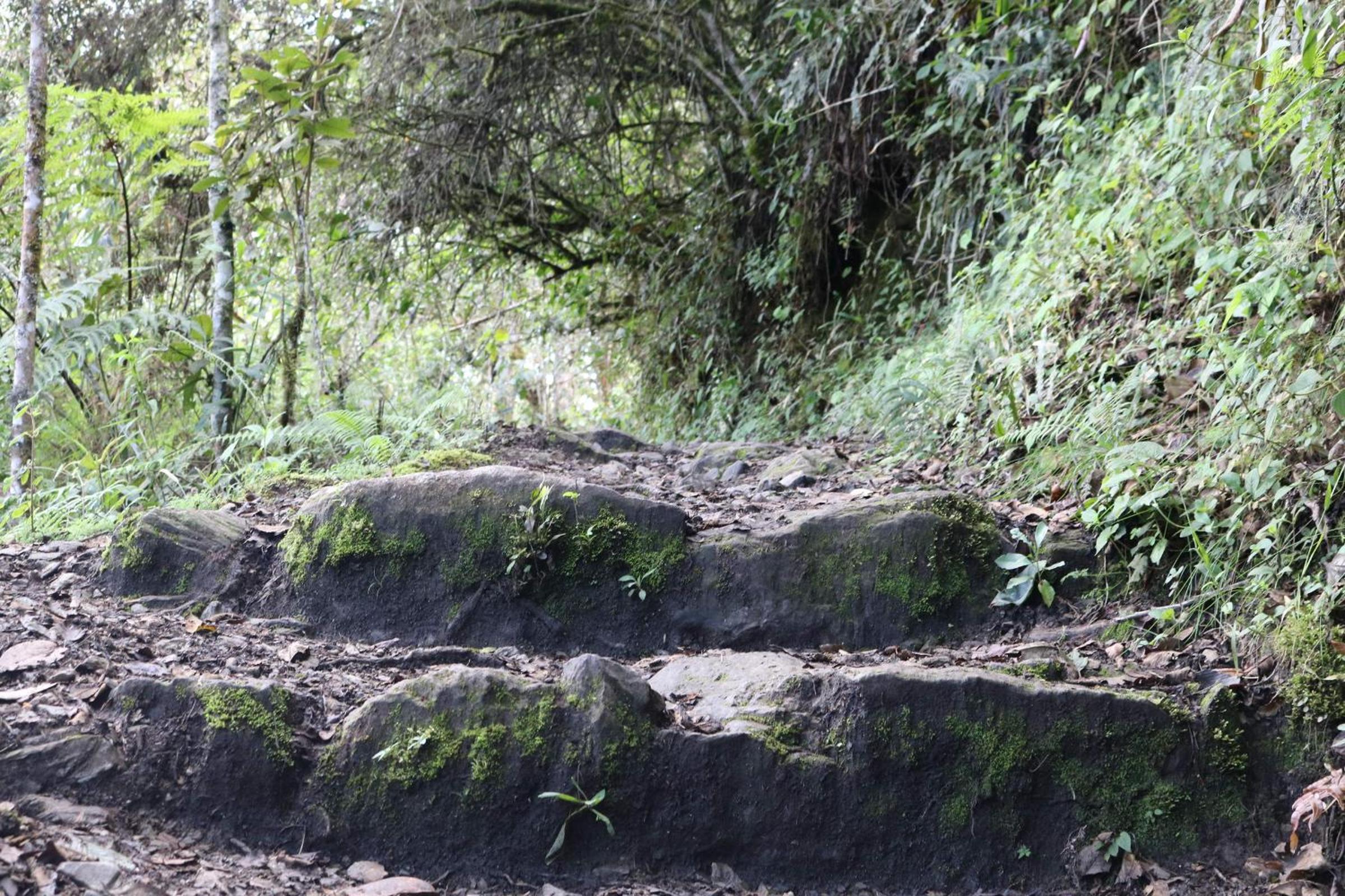 Llactapata Lodge overlooking Machu Picchu - camping - restaurant
