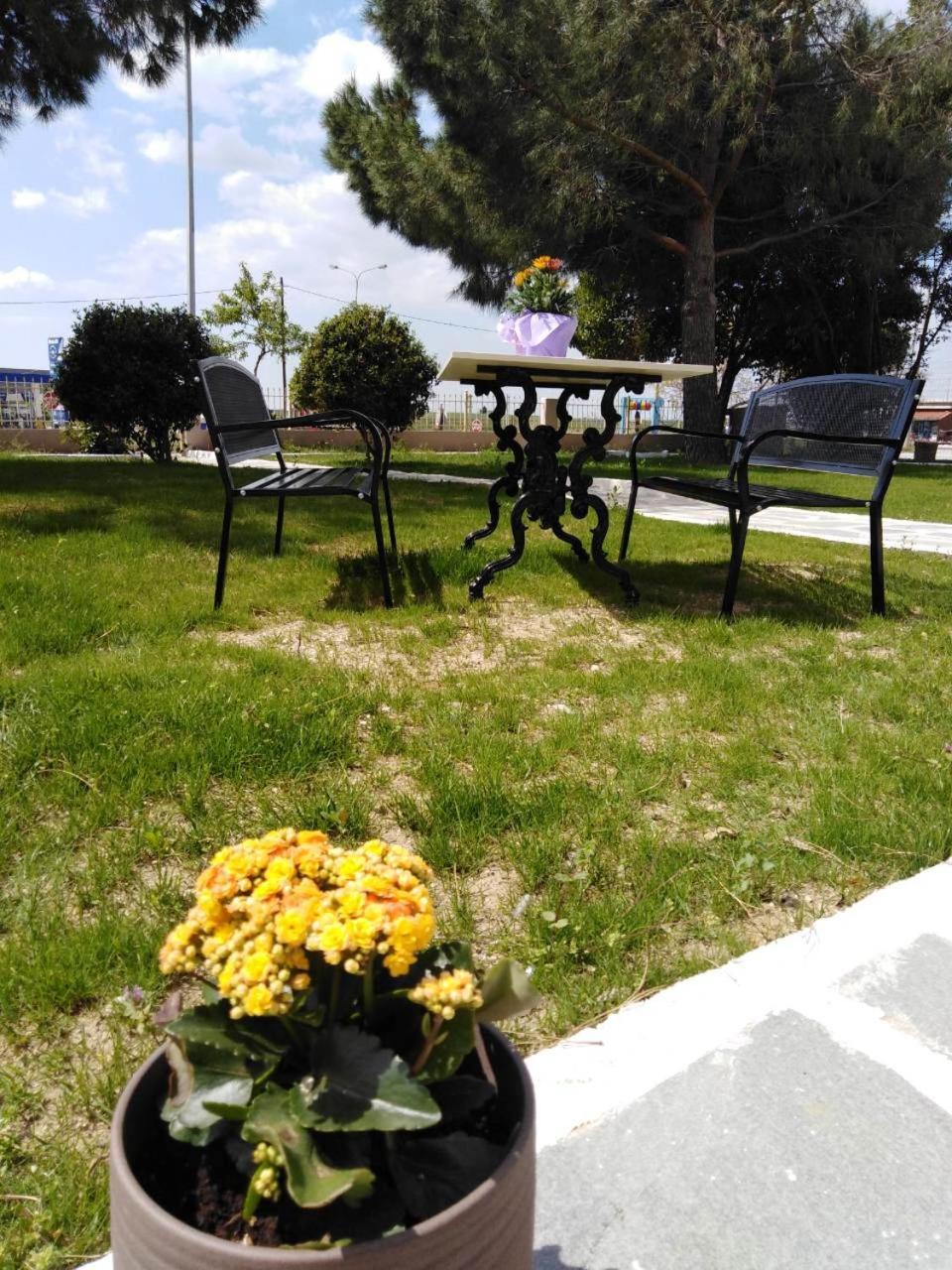 Photo 6