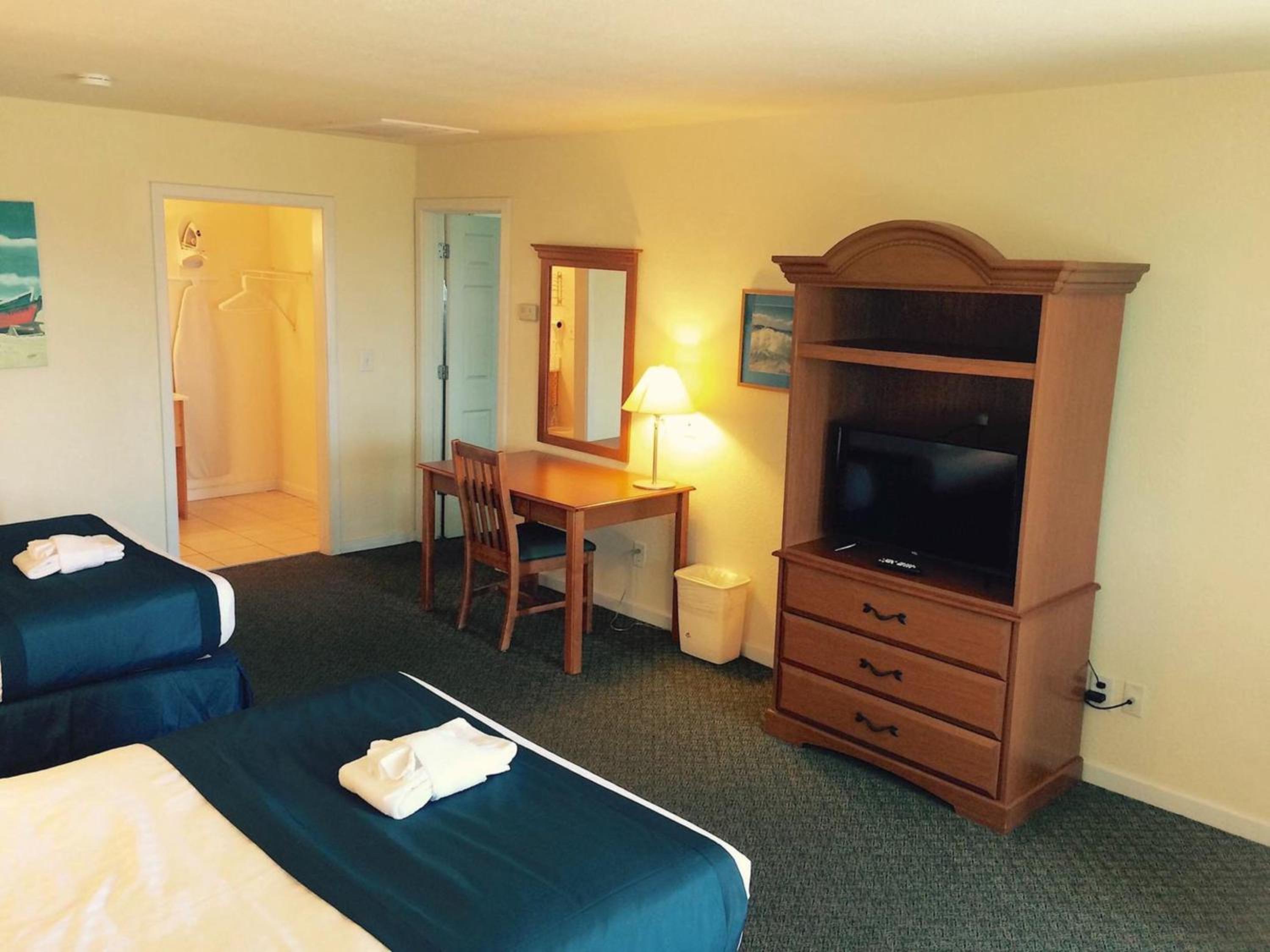 Sea Gull