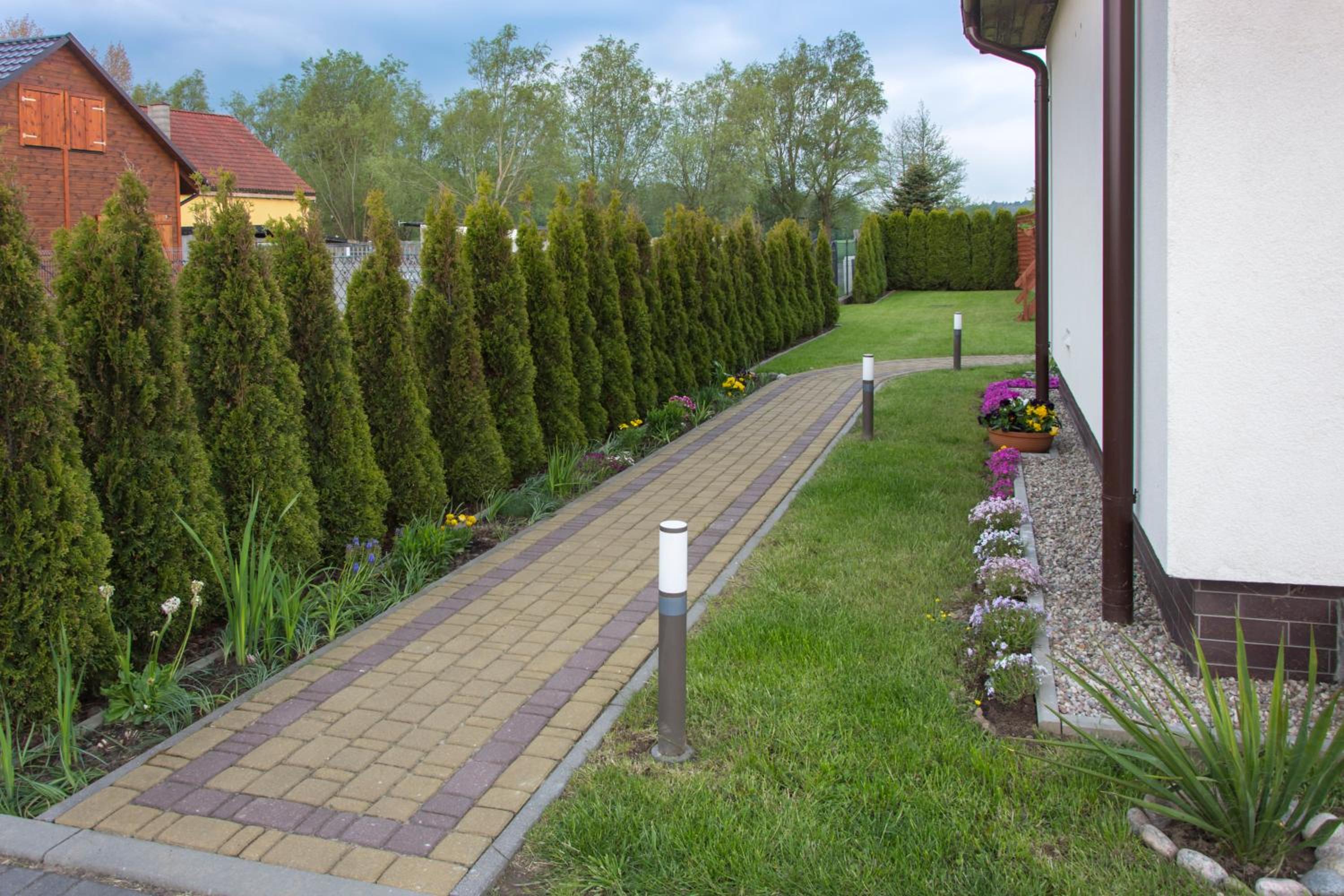 Photo 25