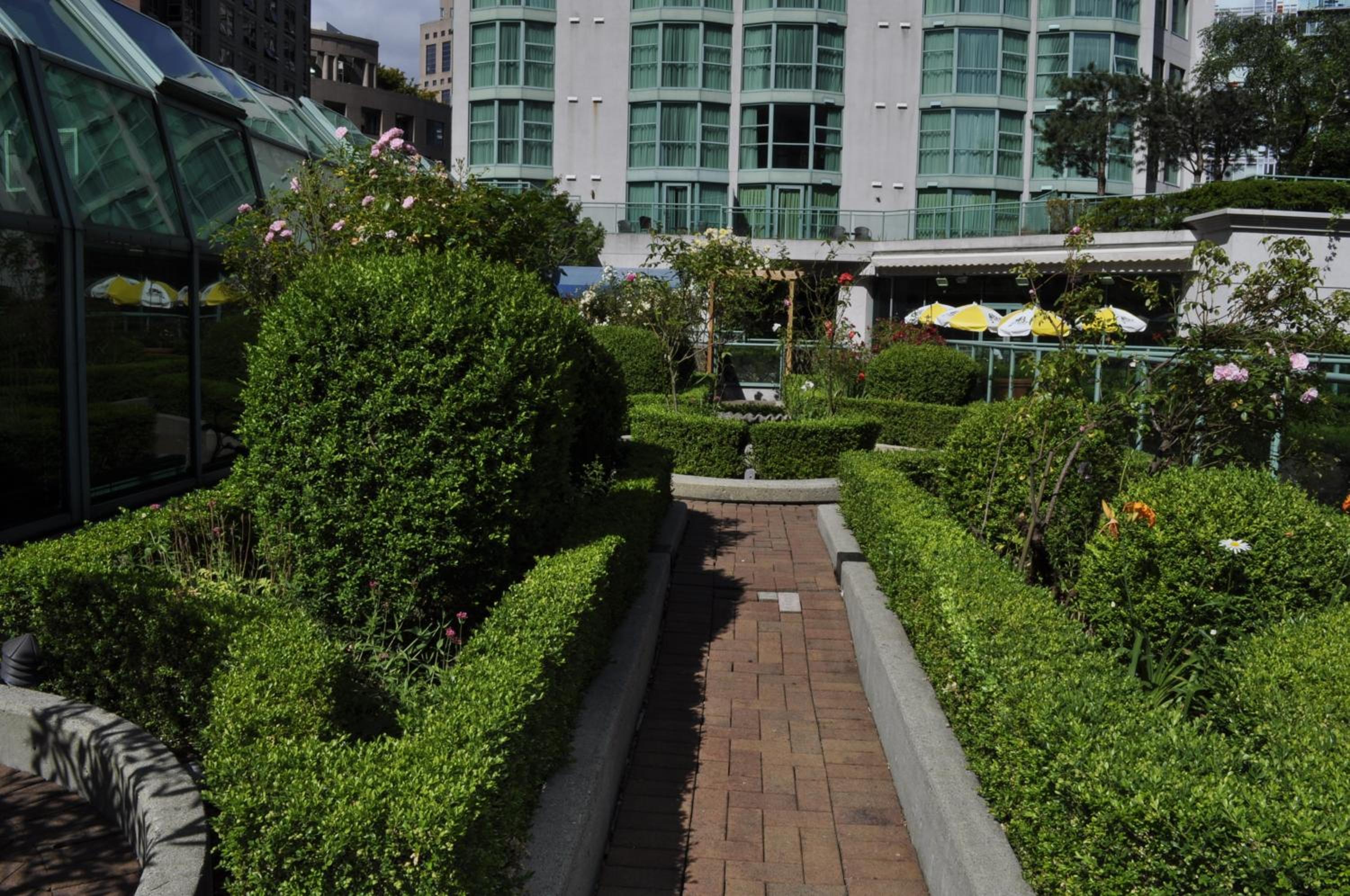 Rosedale on Robson Suite Hotel-3
