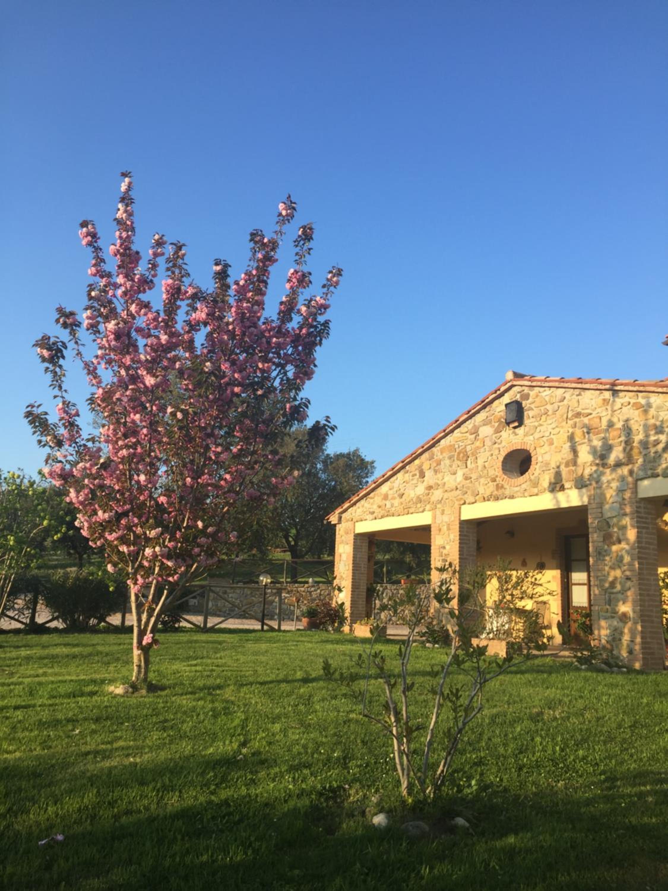 Agriturismo Podere Micitto