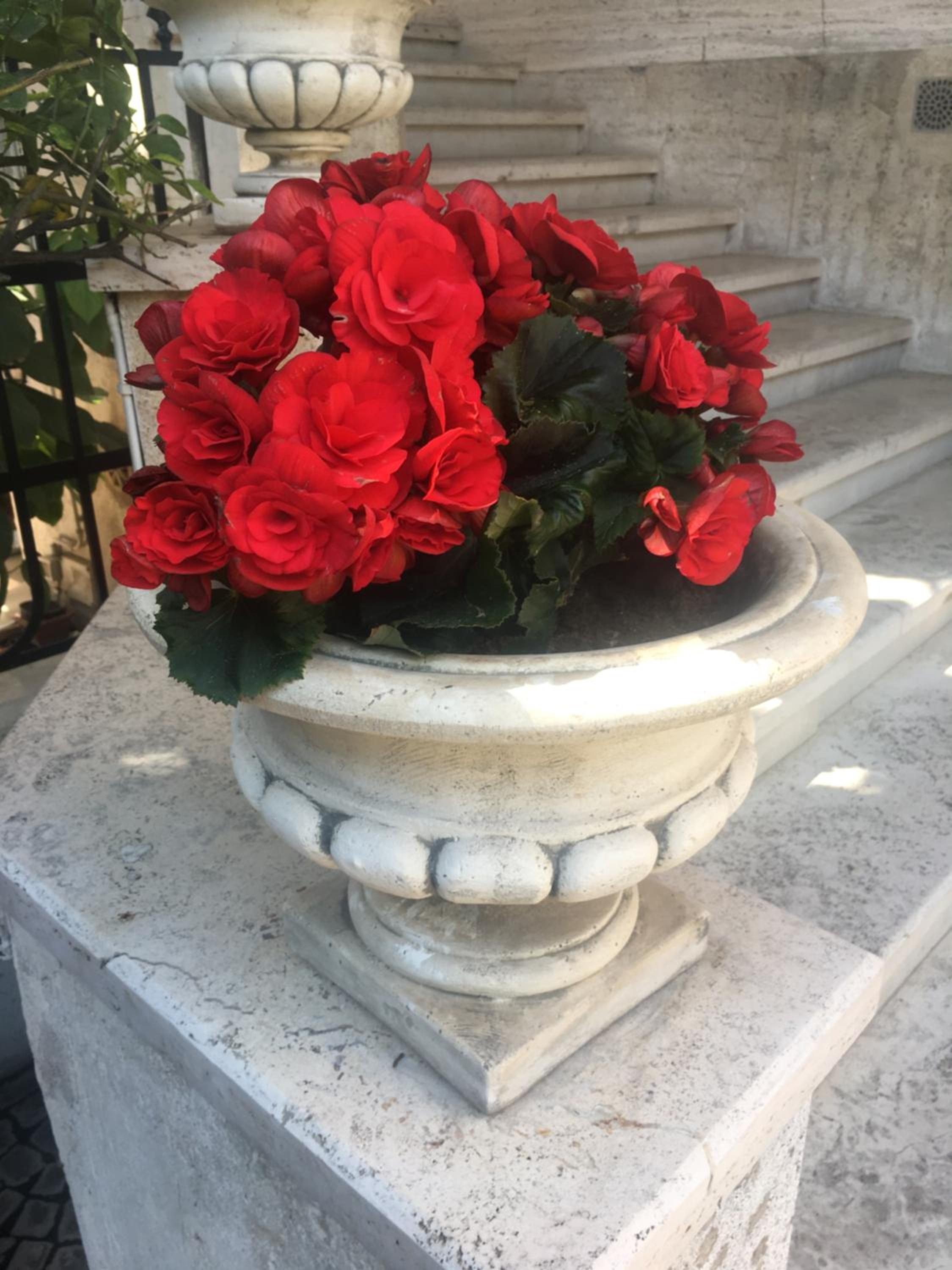 Suite Oriani