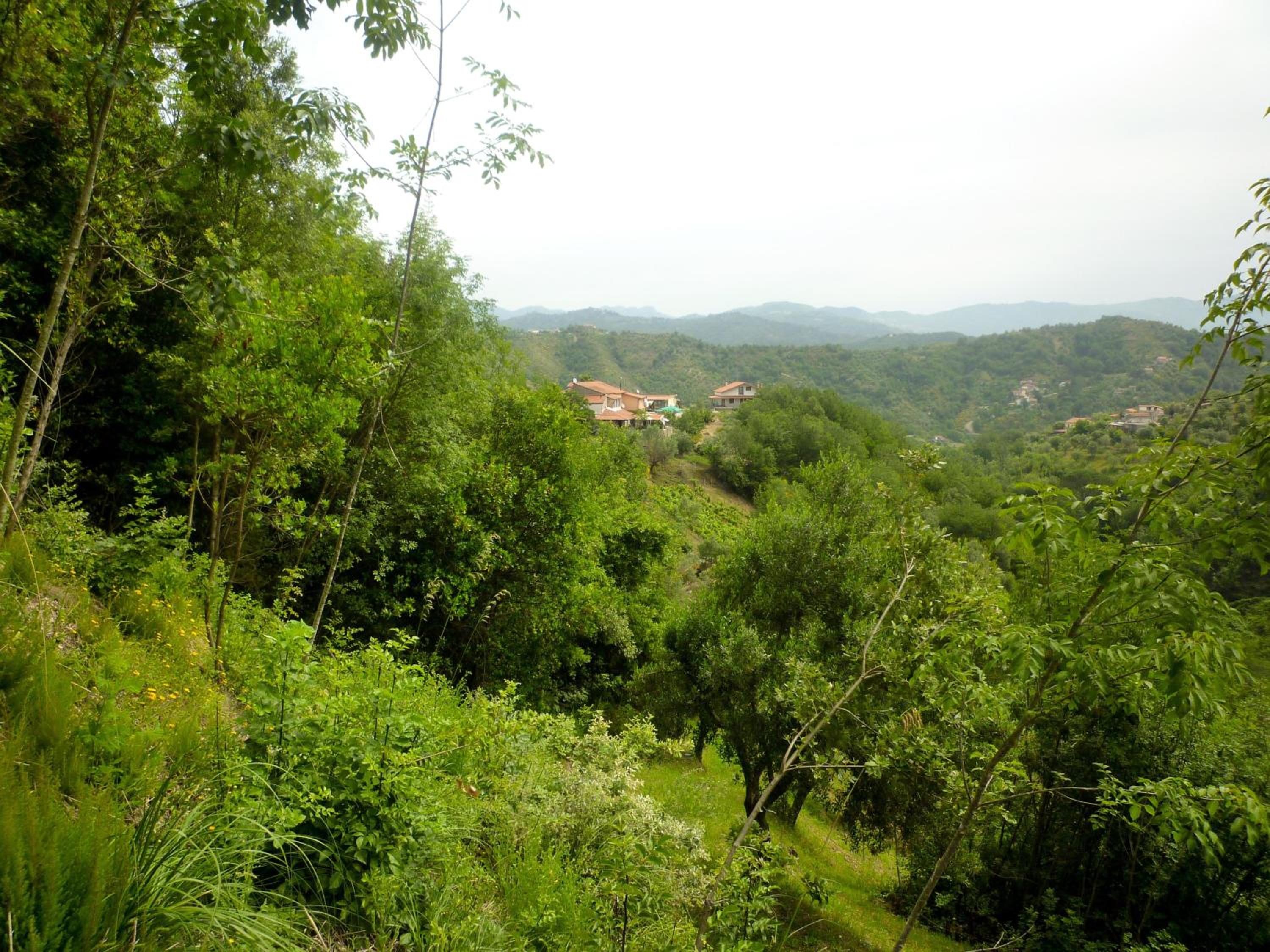 Benvenuti Nel Sud