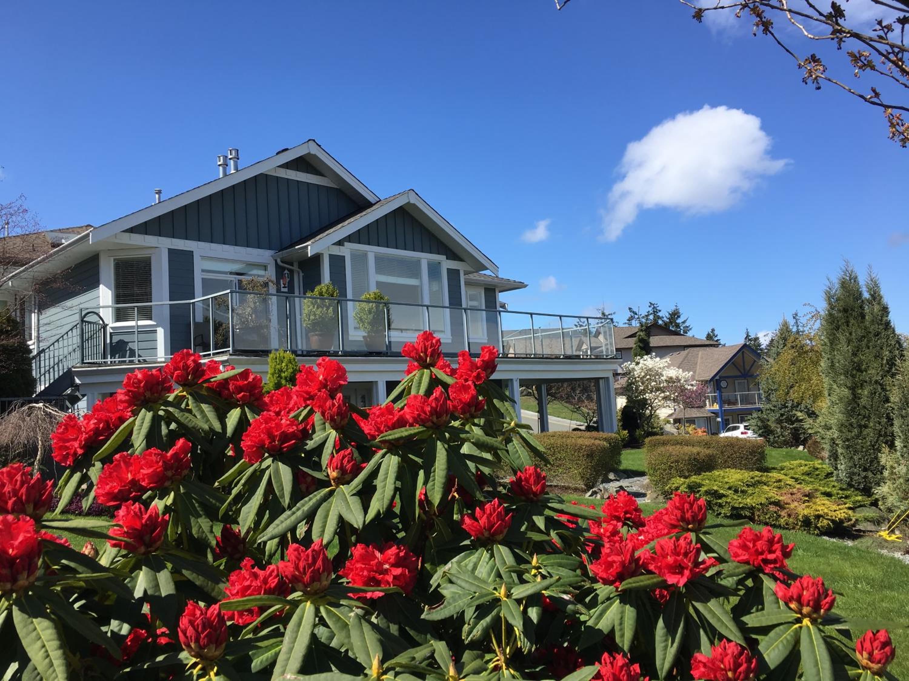 NeckPoint Treasure BNB view 2