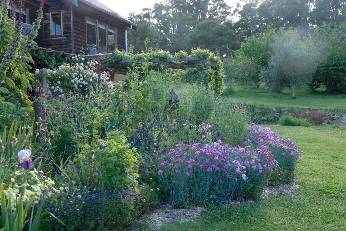 Birdwing Bed and Breakfast Weegena
