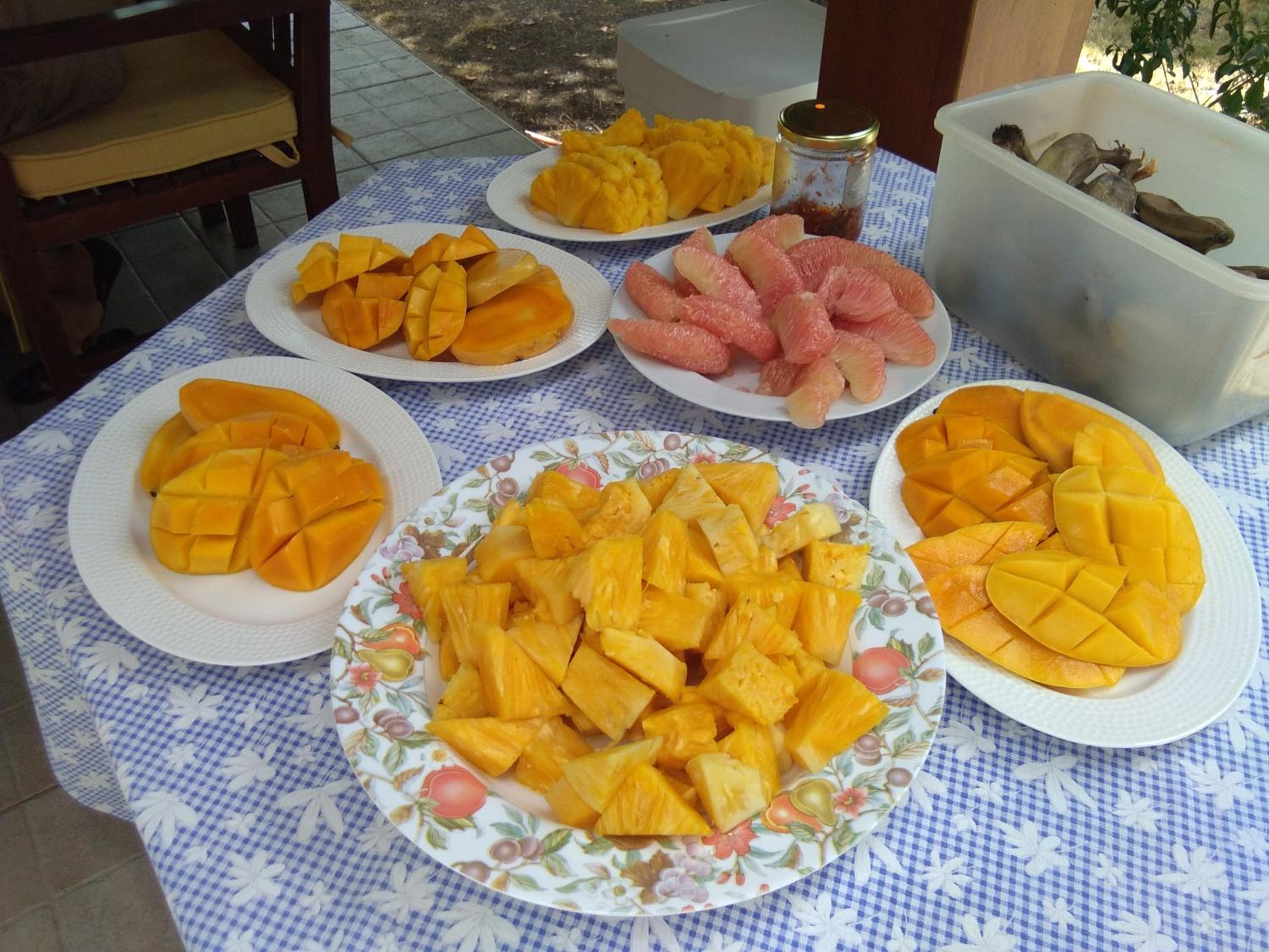 Photo 41