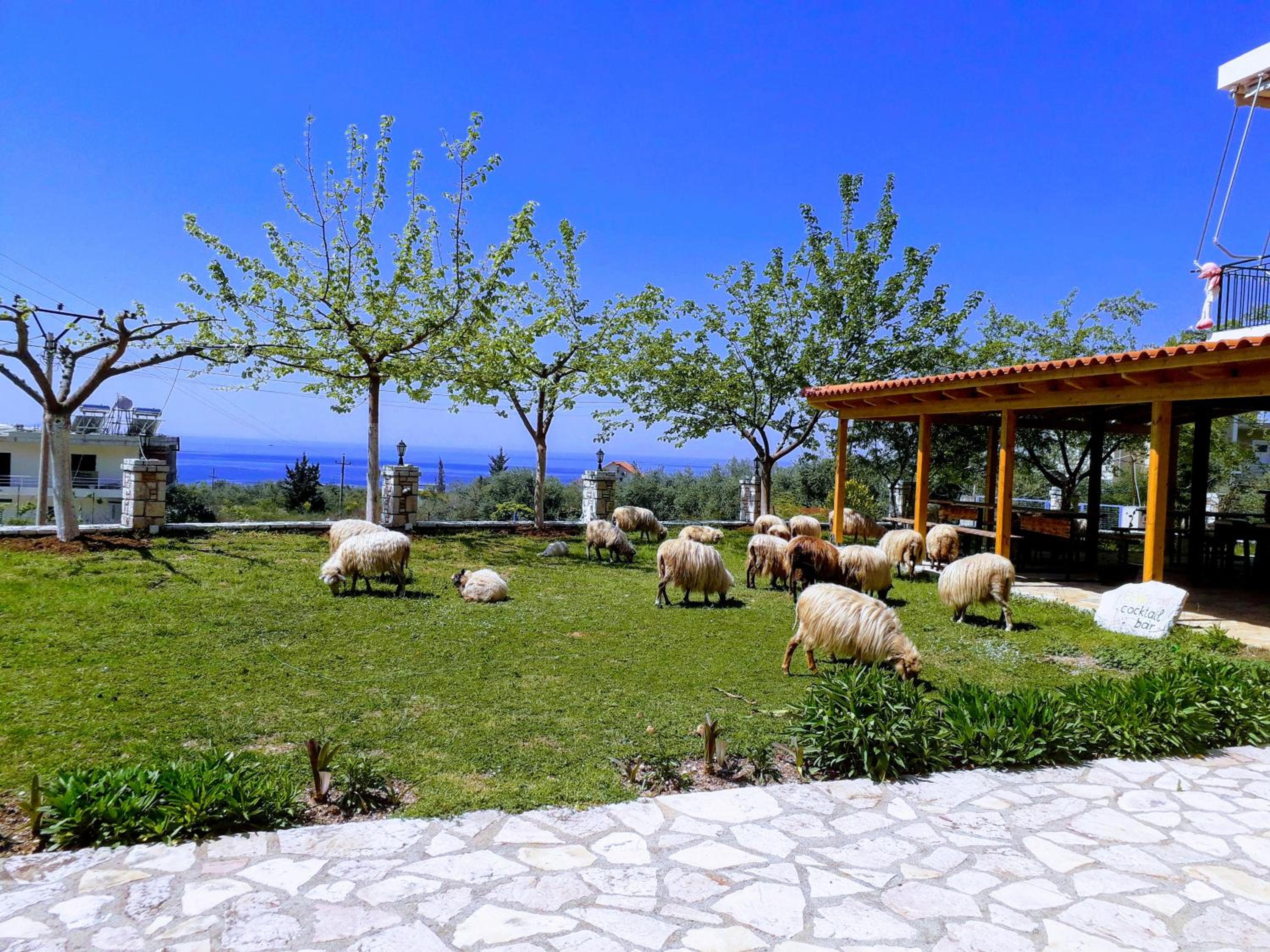 Agrotourism Himara