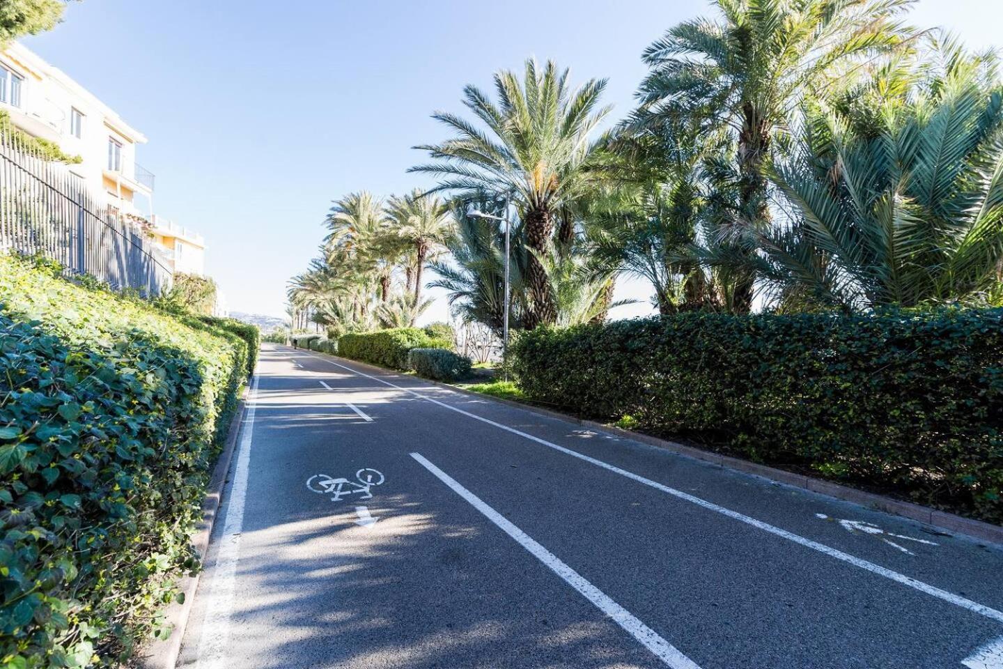 Grazioso appartamentino a due passi dalla pista ciclabile con Giardino e Garage view 4