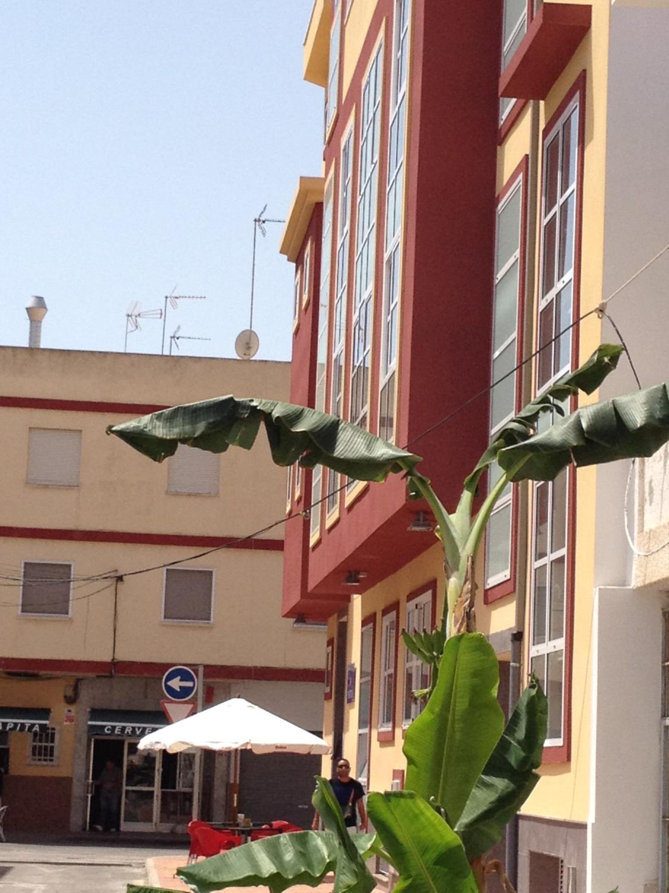 Pension La Puntica