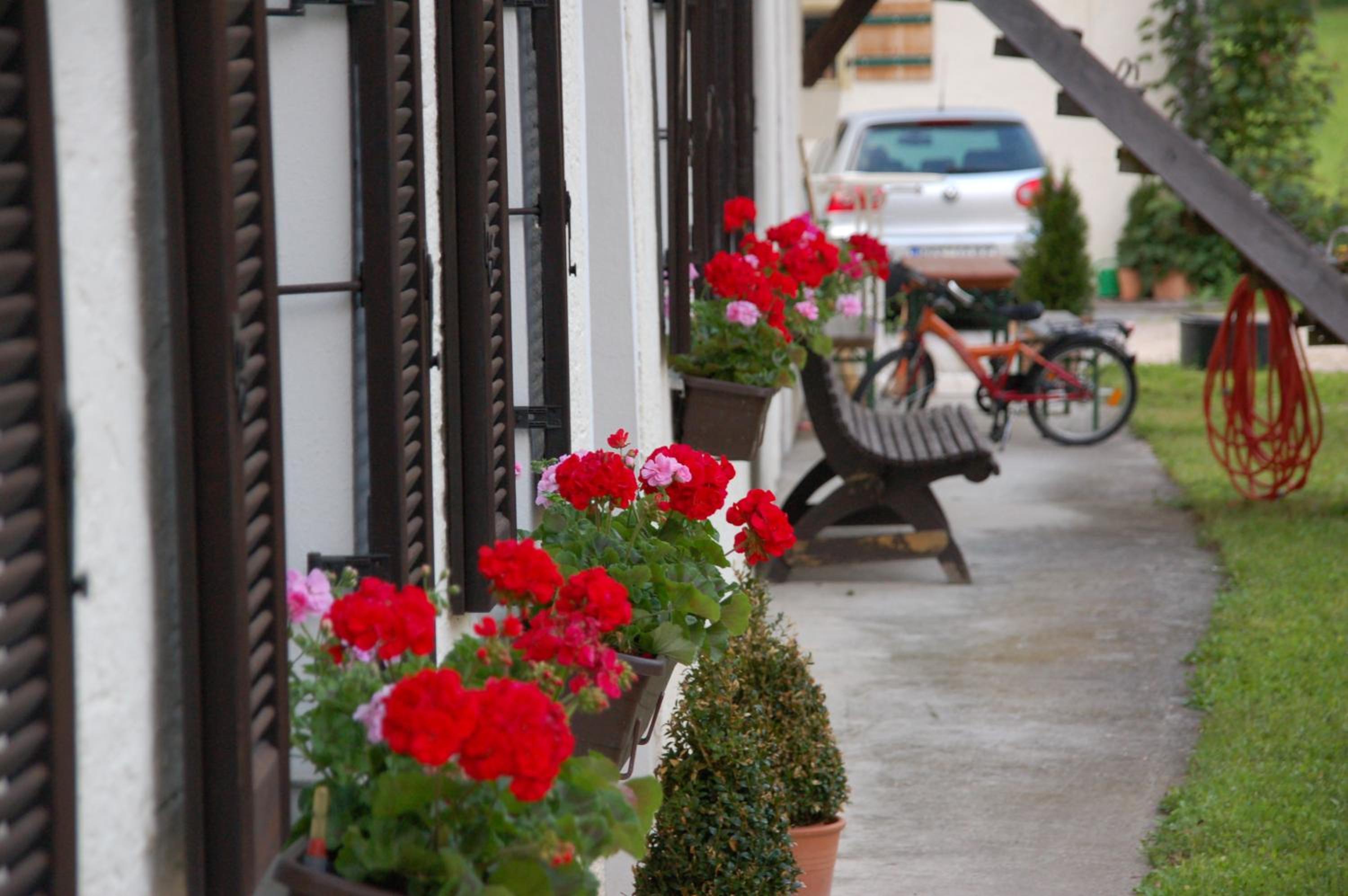 Bad Reichenhall Vacations - Pension Lex - Property Image 7