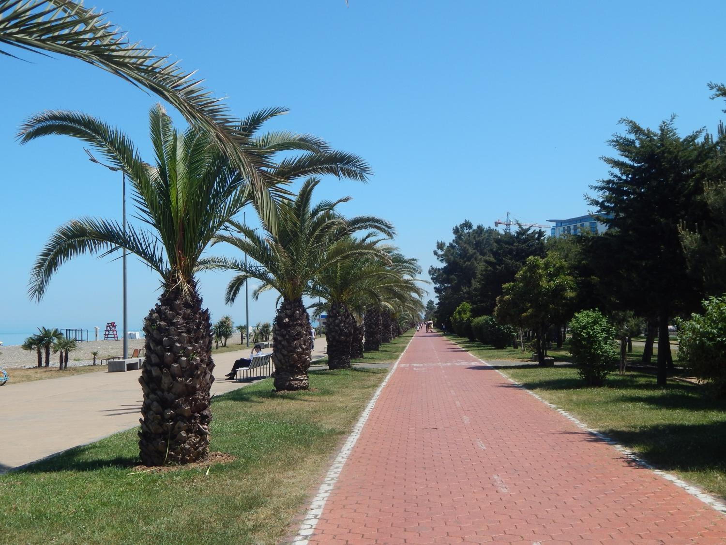 Photo 45