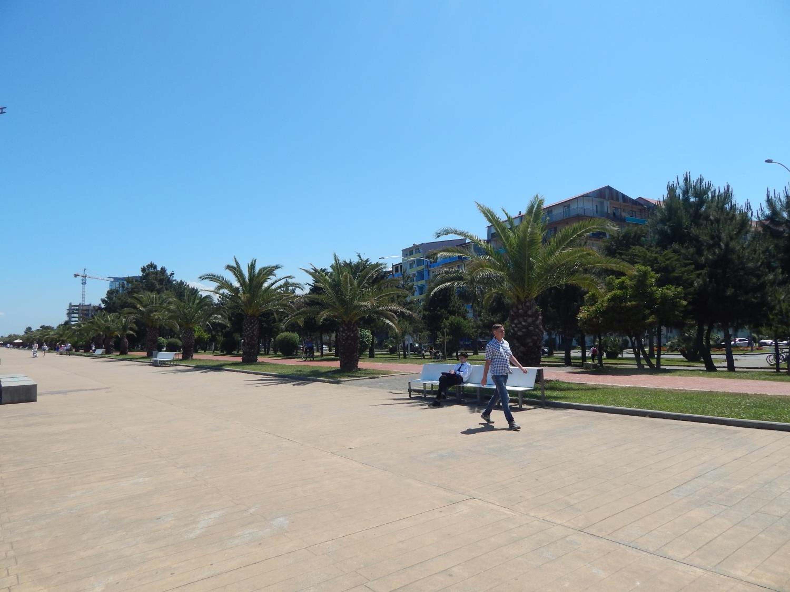 Photo 46