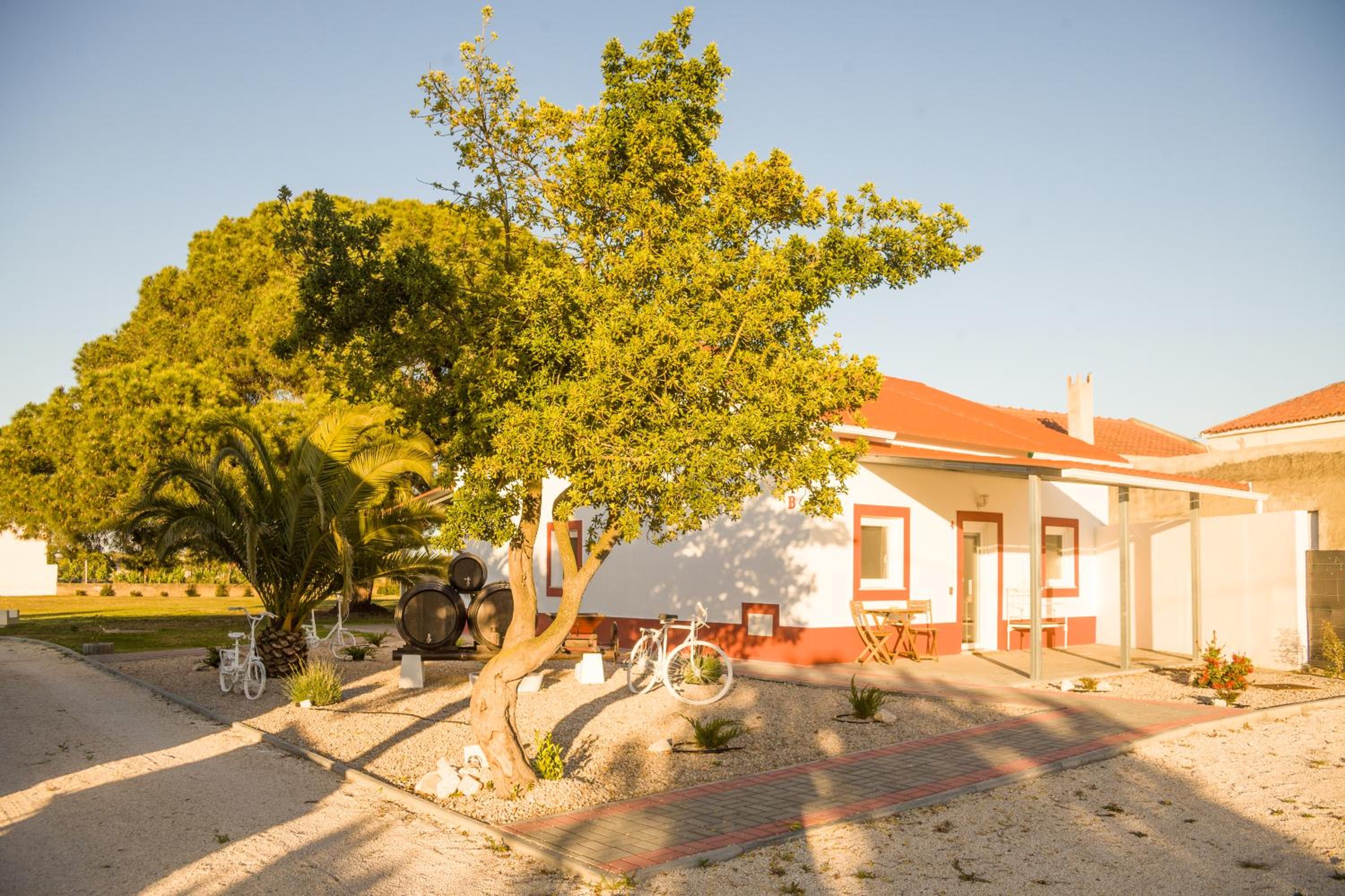 Casa das Pipas Palmela #4