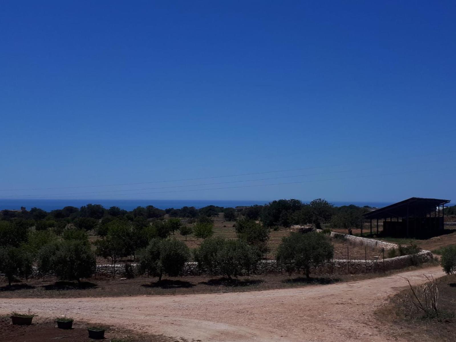 Photo 41