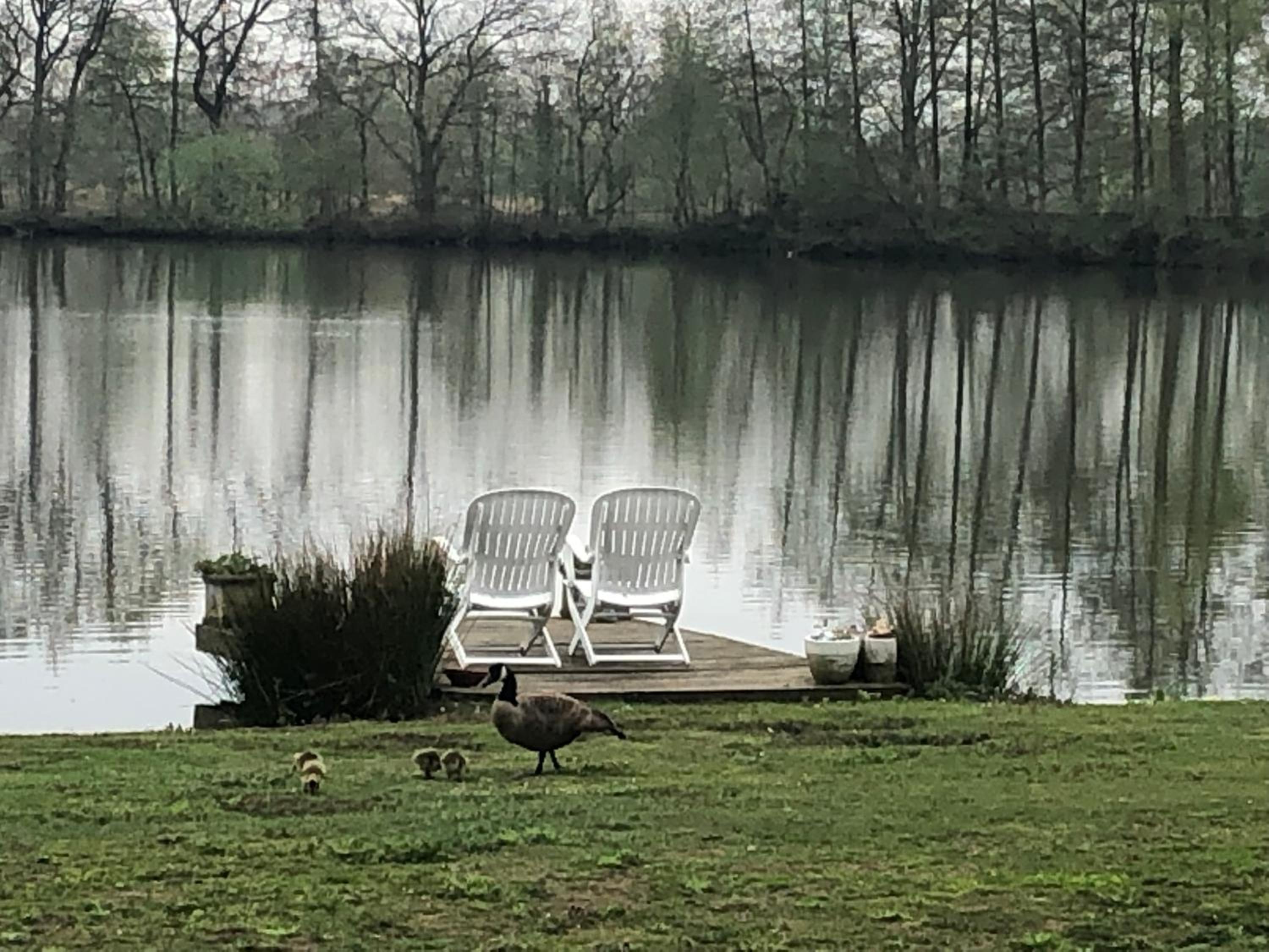 Vakantiewoning ‘t Reigersnest