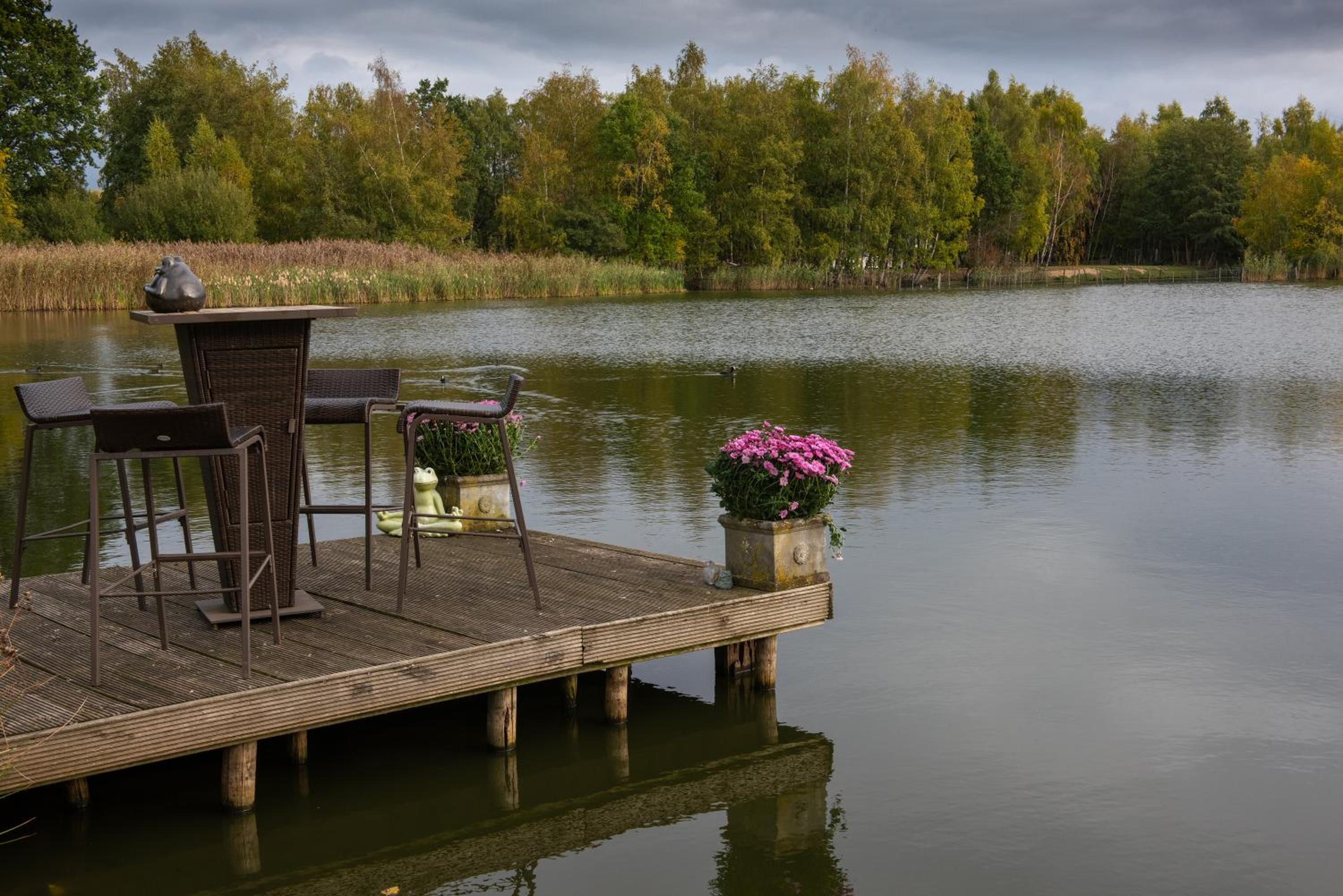 Vakantiewoning ‘t Reigersnest
