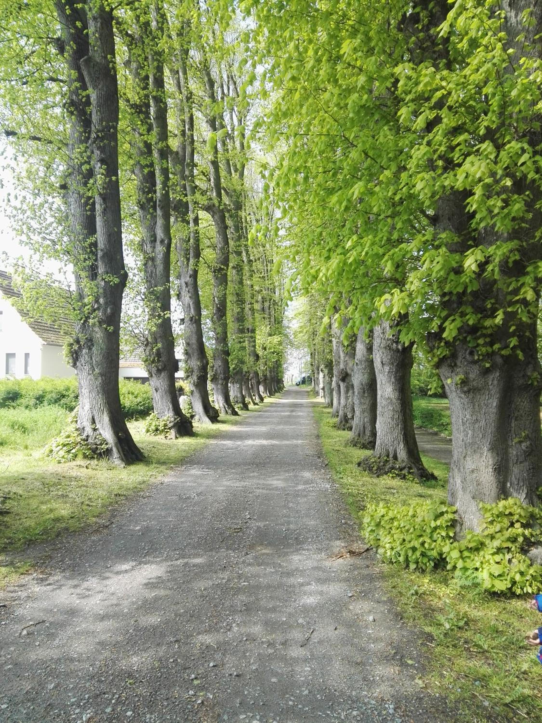 Ferienwohnung Haus Sommerwind