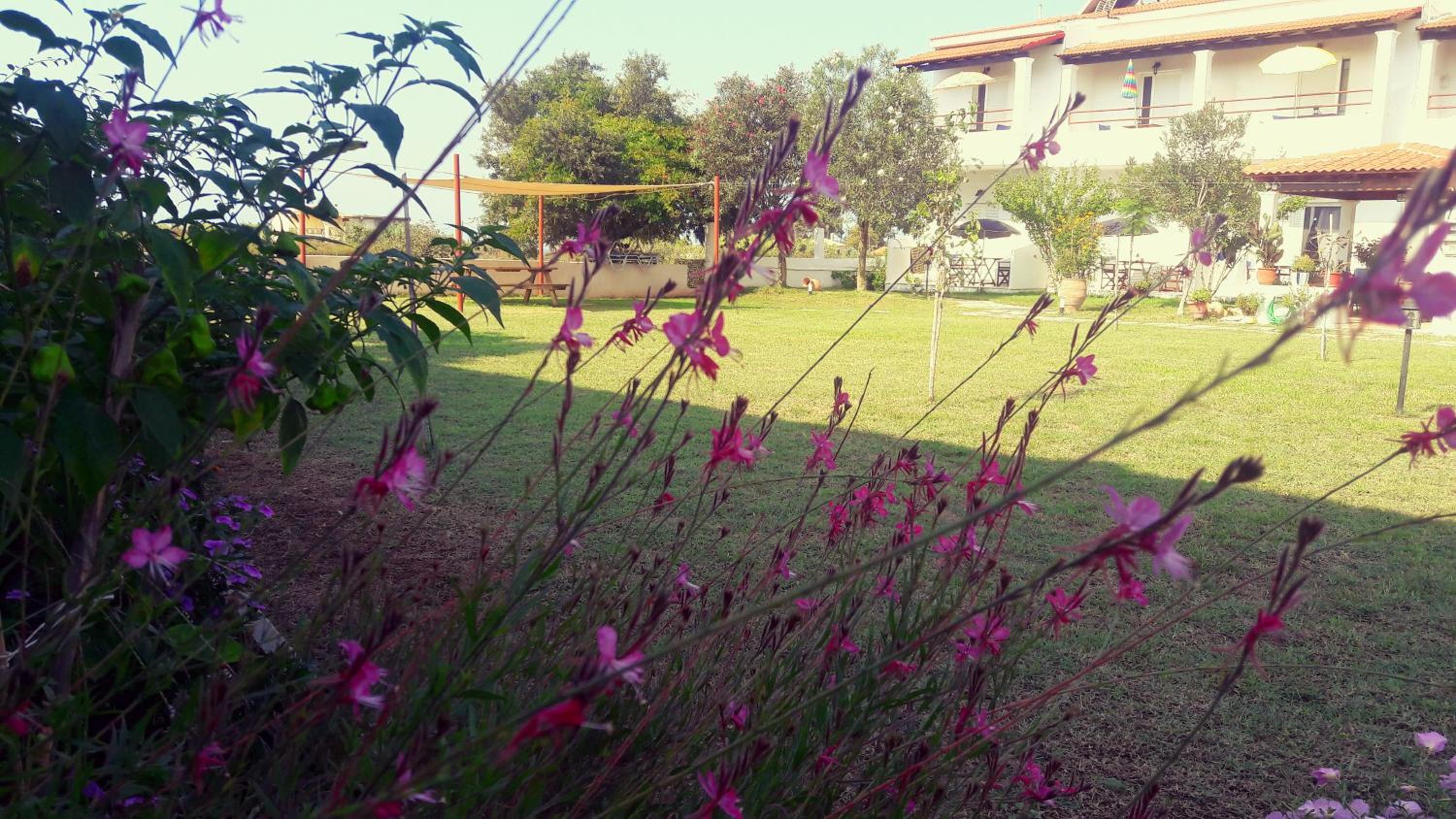 Voula Accommodation