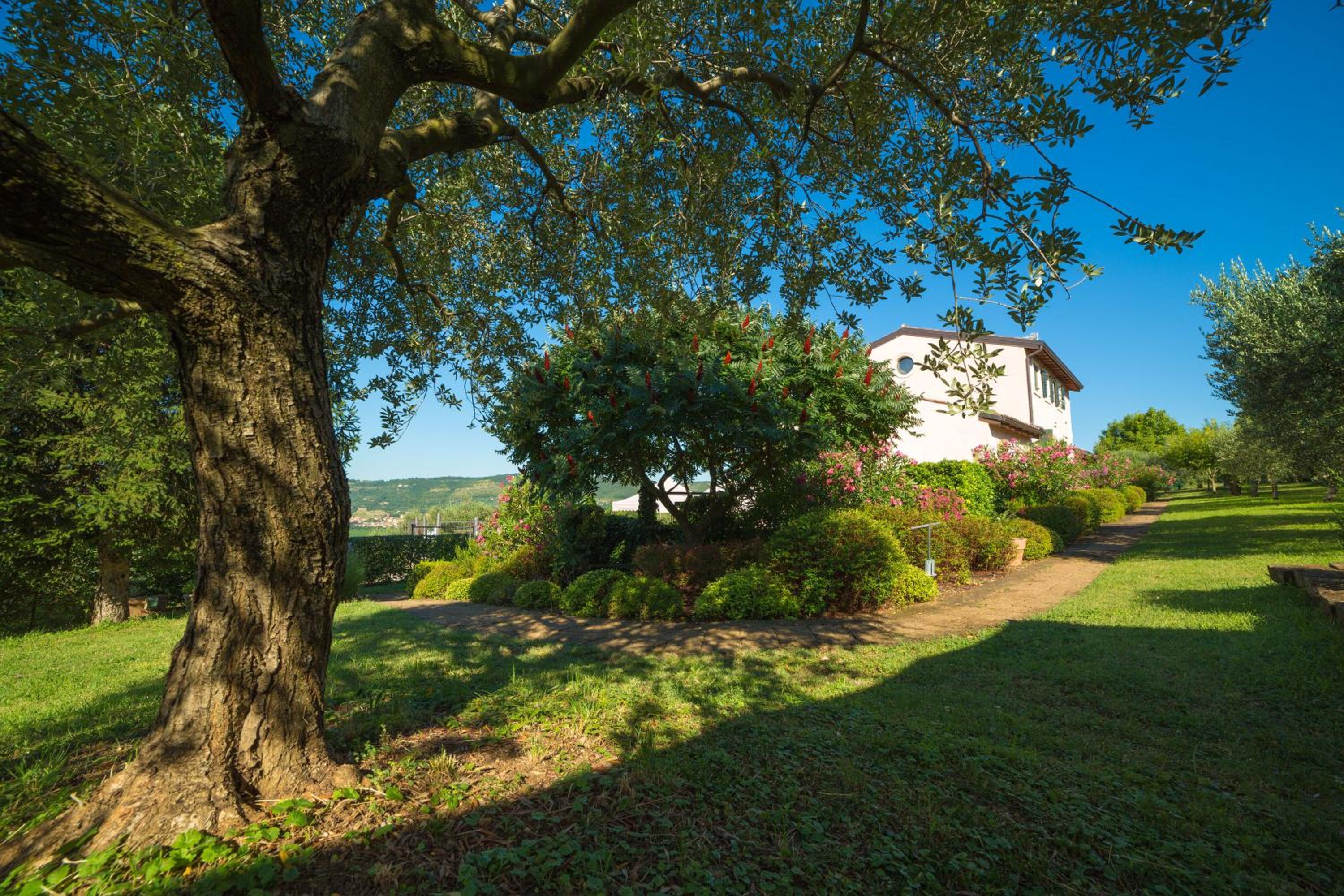 Agriturismo Casa Rosa