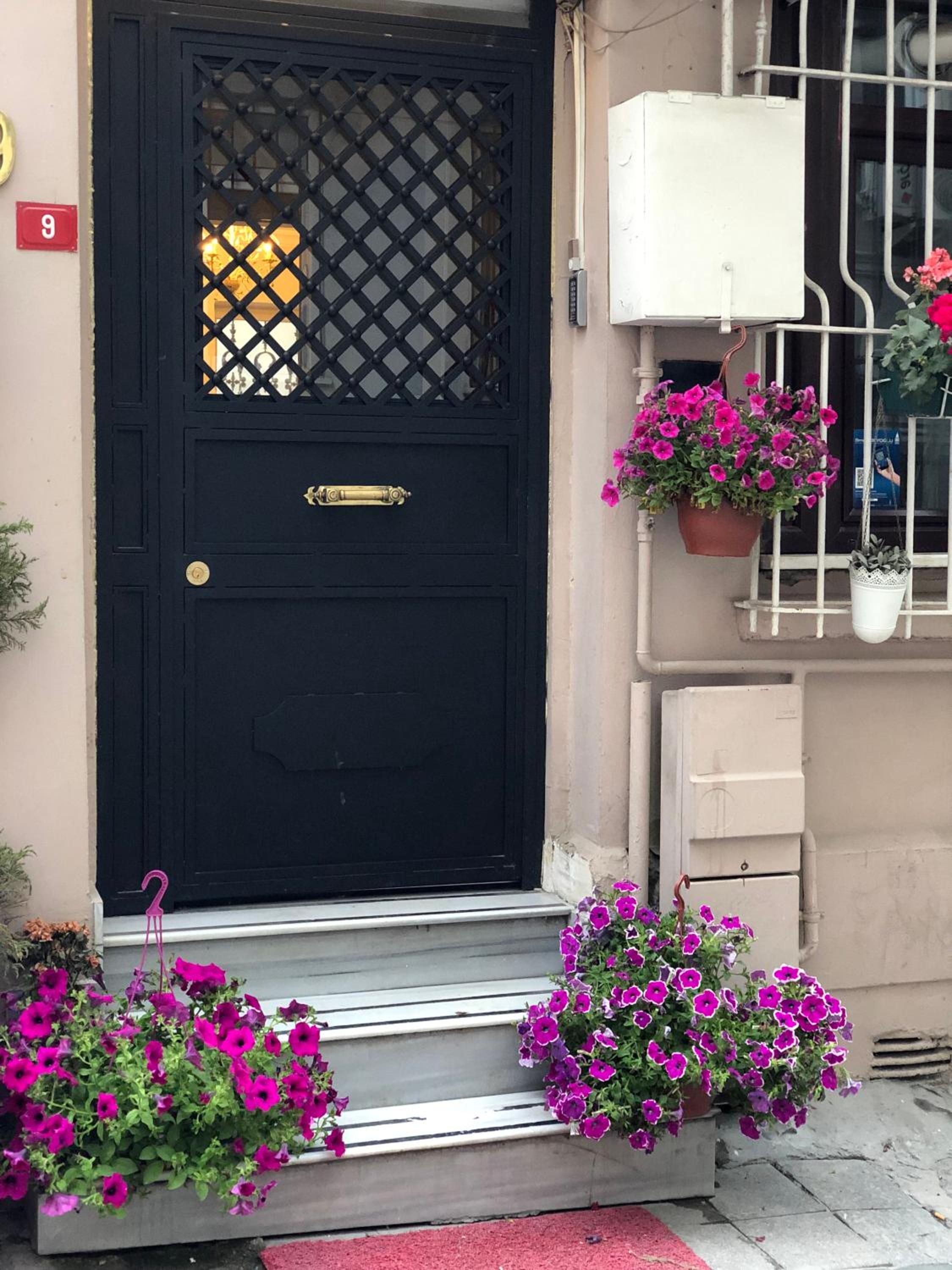 Tulpan Evi - Image 36