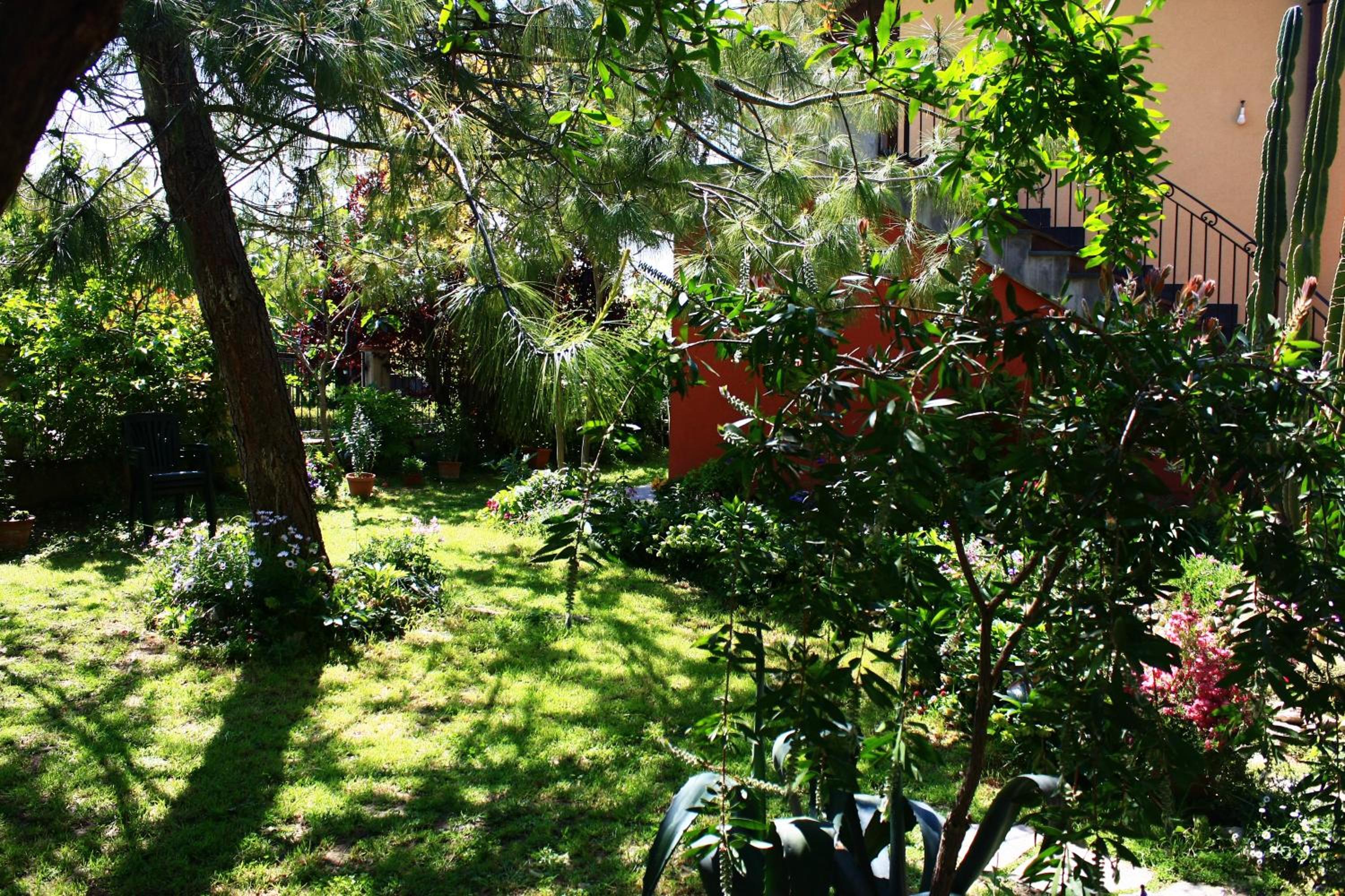Photo 32
