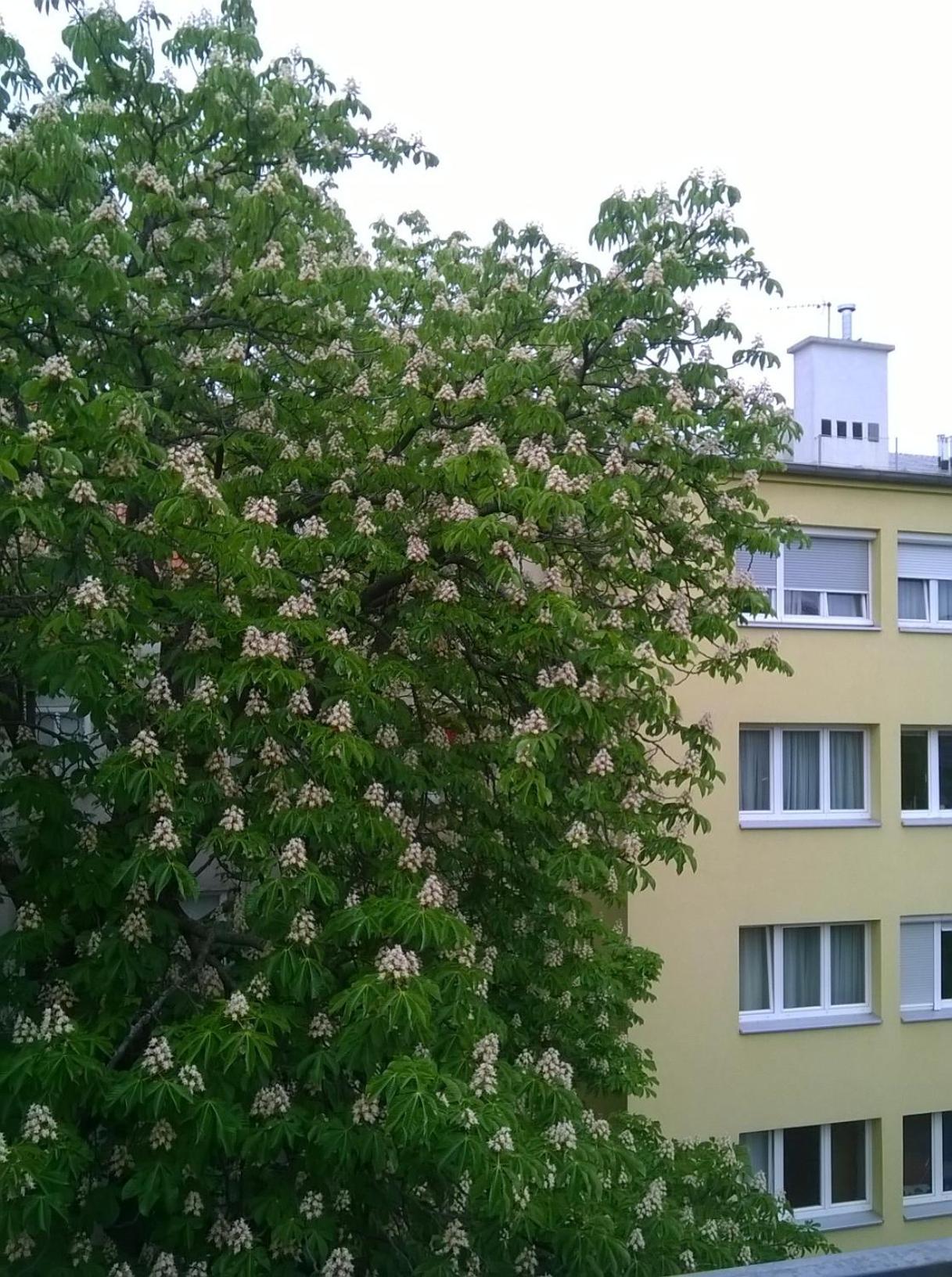 Westend City Hostel