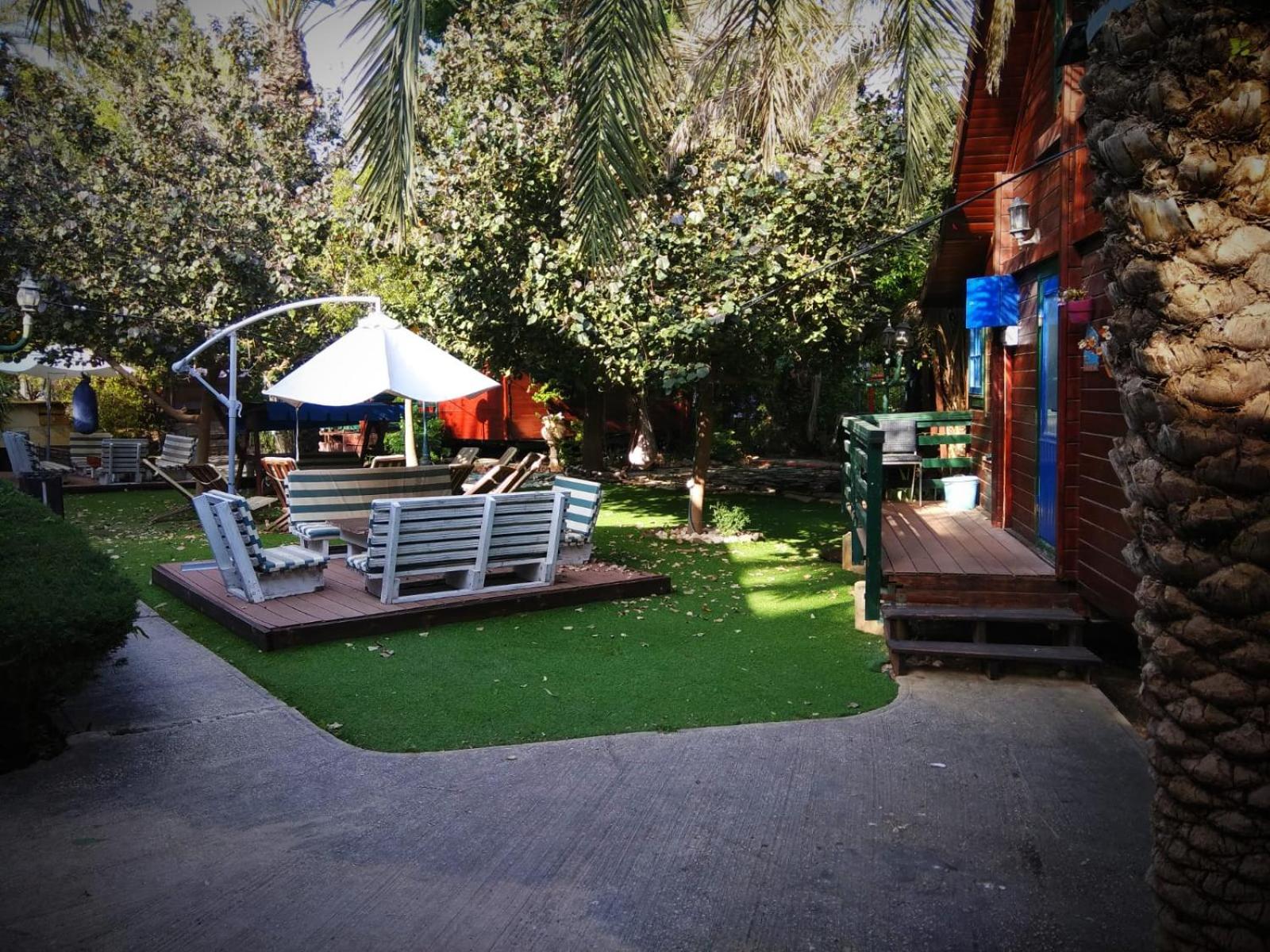 Photo 6