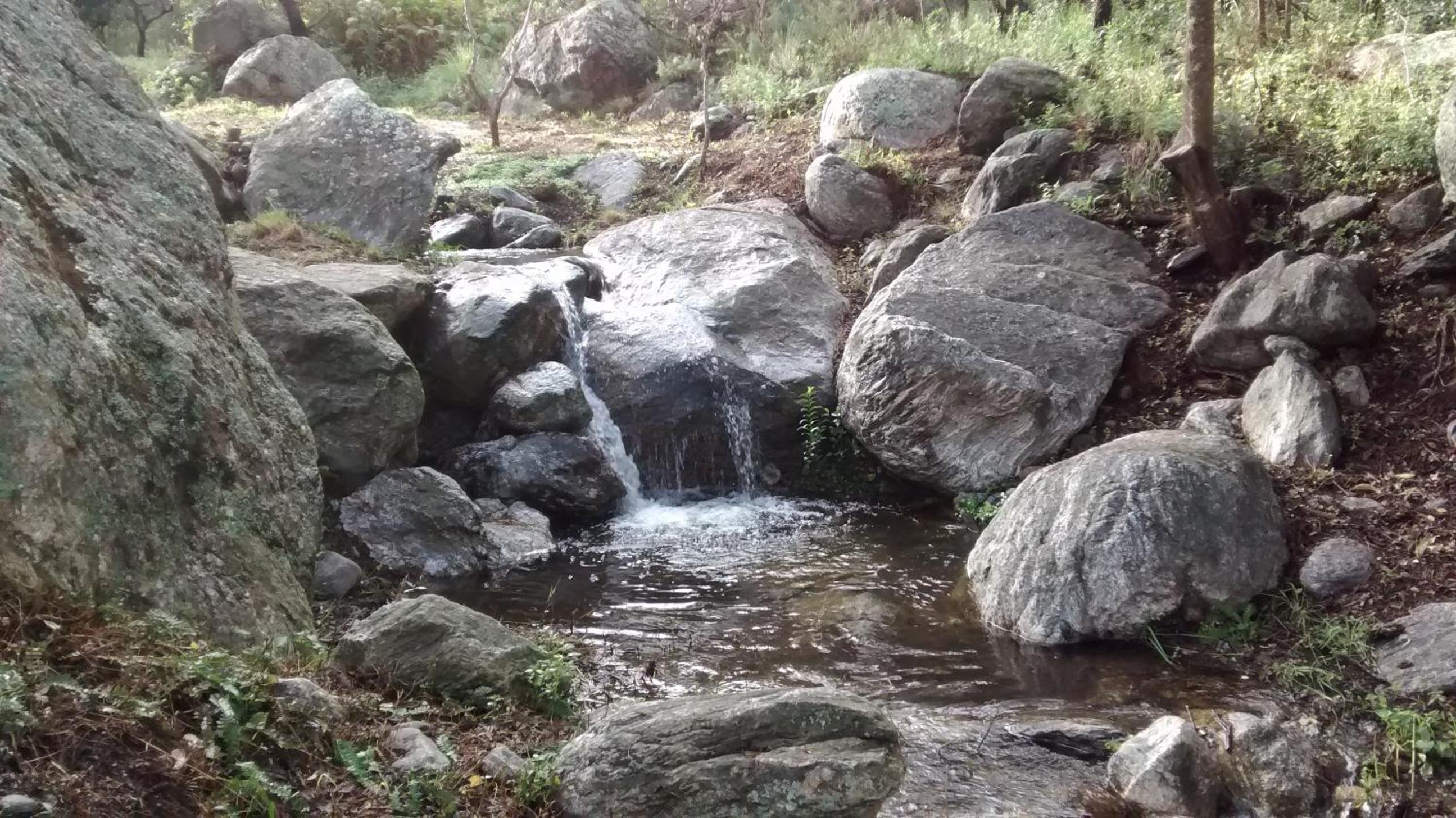 COSTA COM Departamentos de Montaña