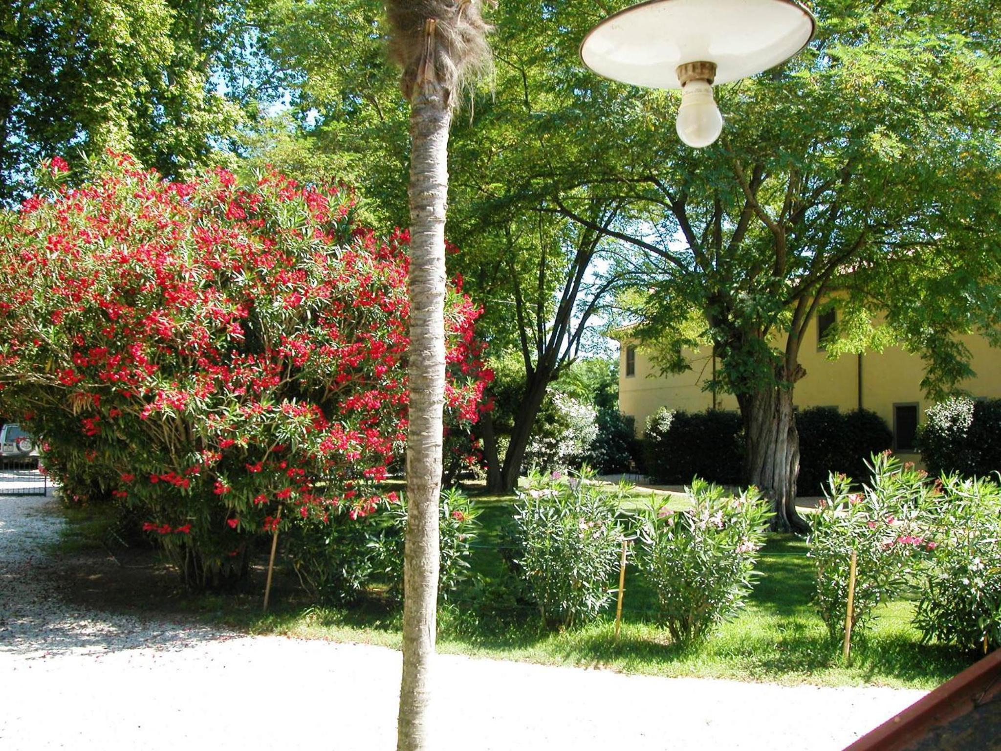 Fattoria di Migliarino view 5