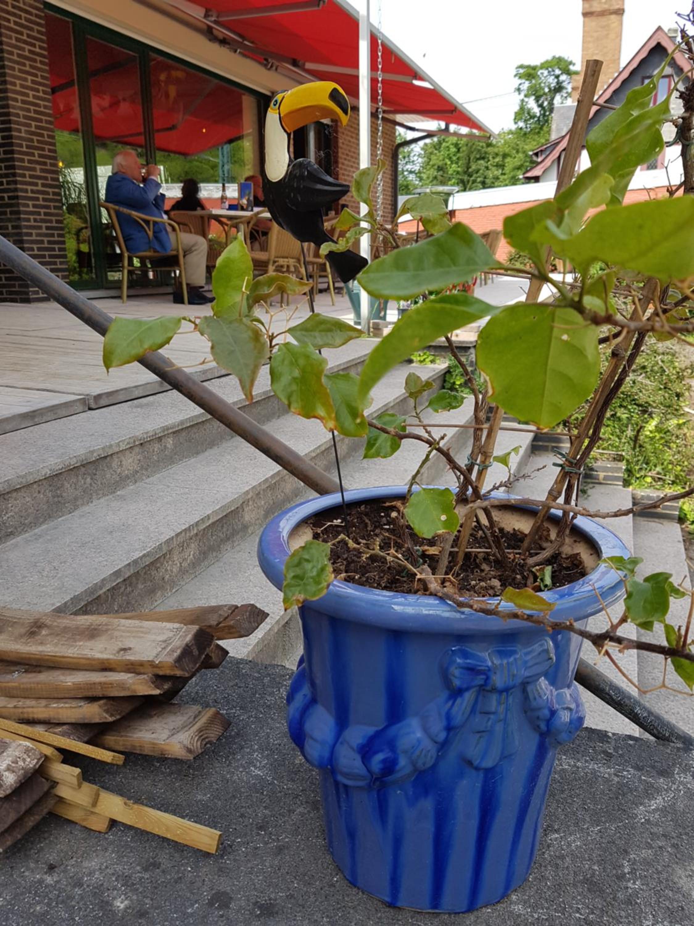 Auberge RIO