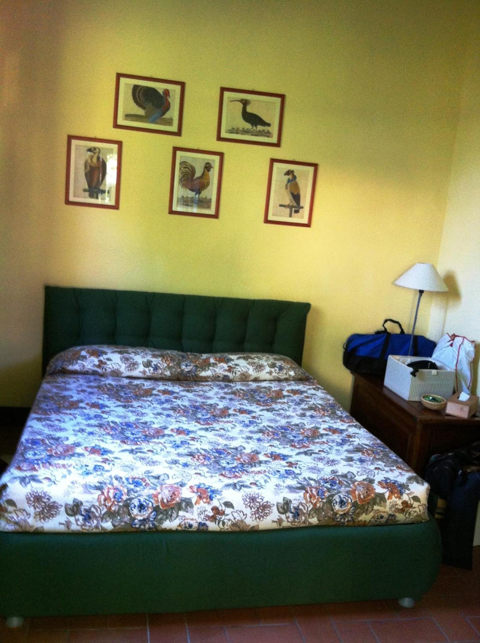 Photo 22