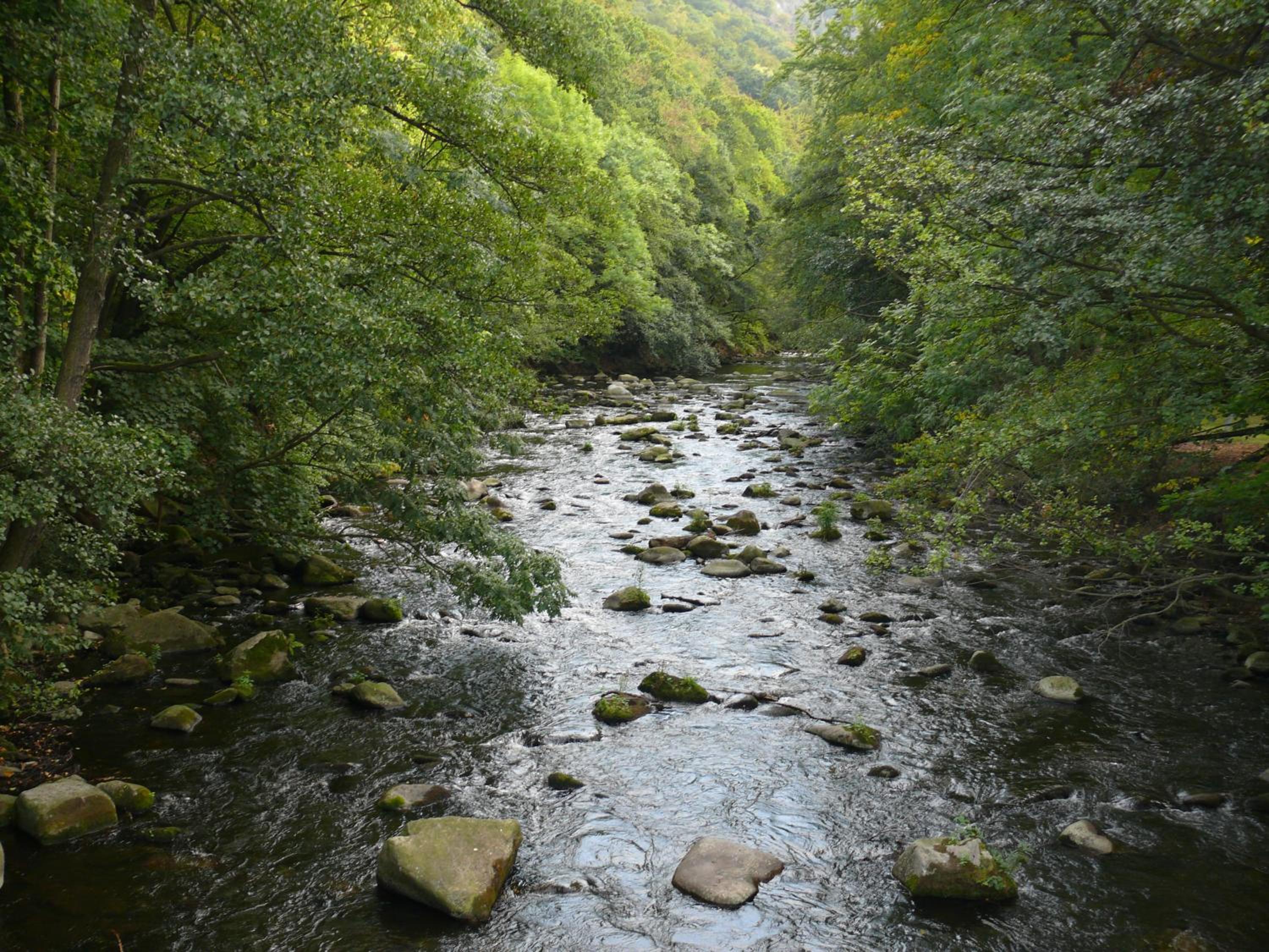Photo 14