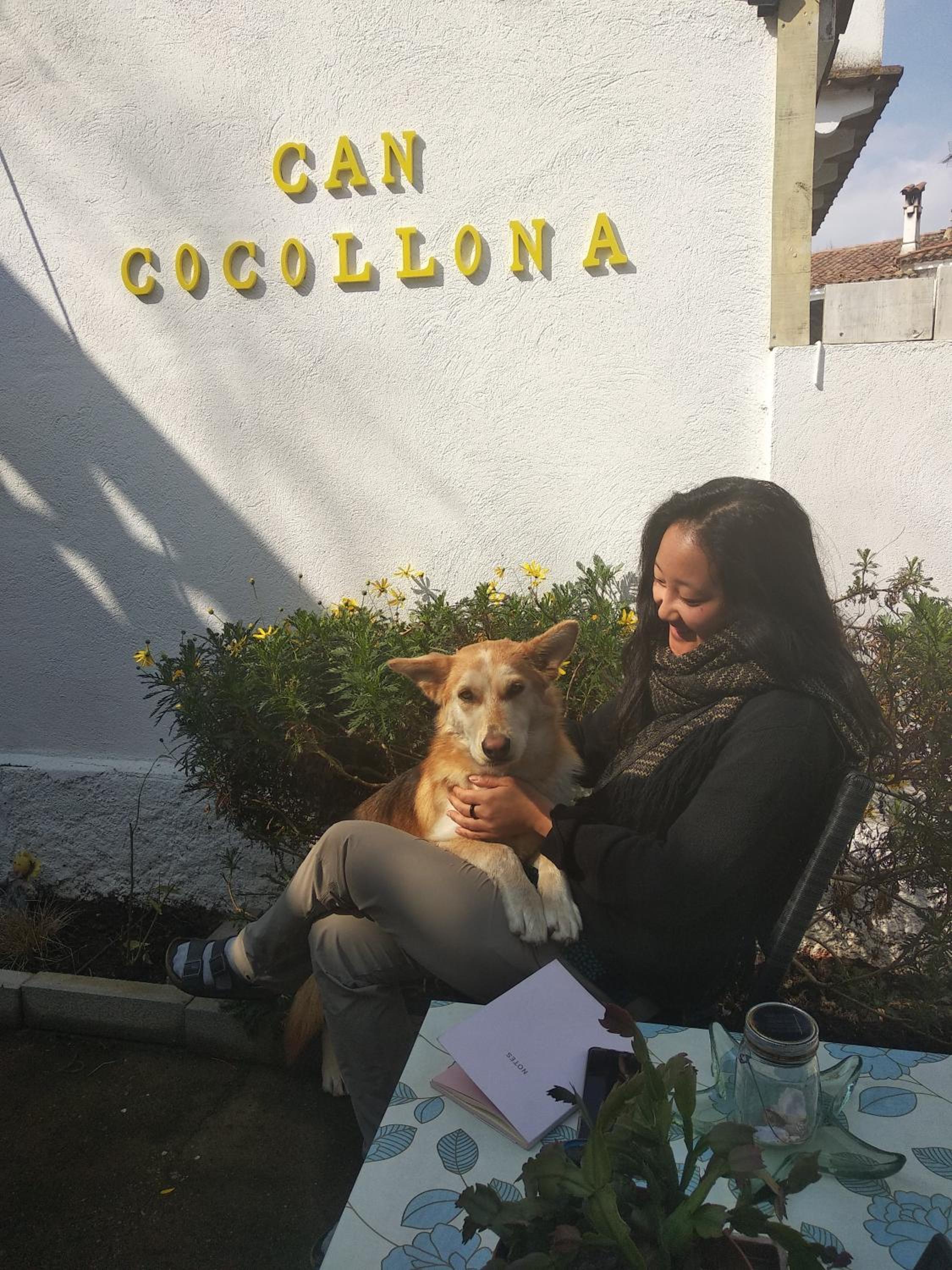 Can Cocollona view 2