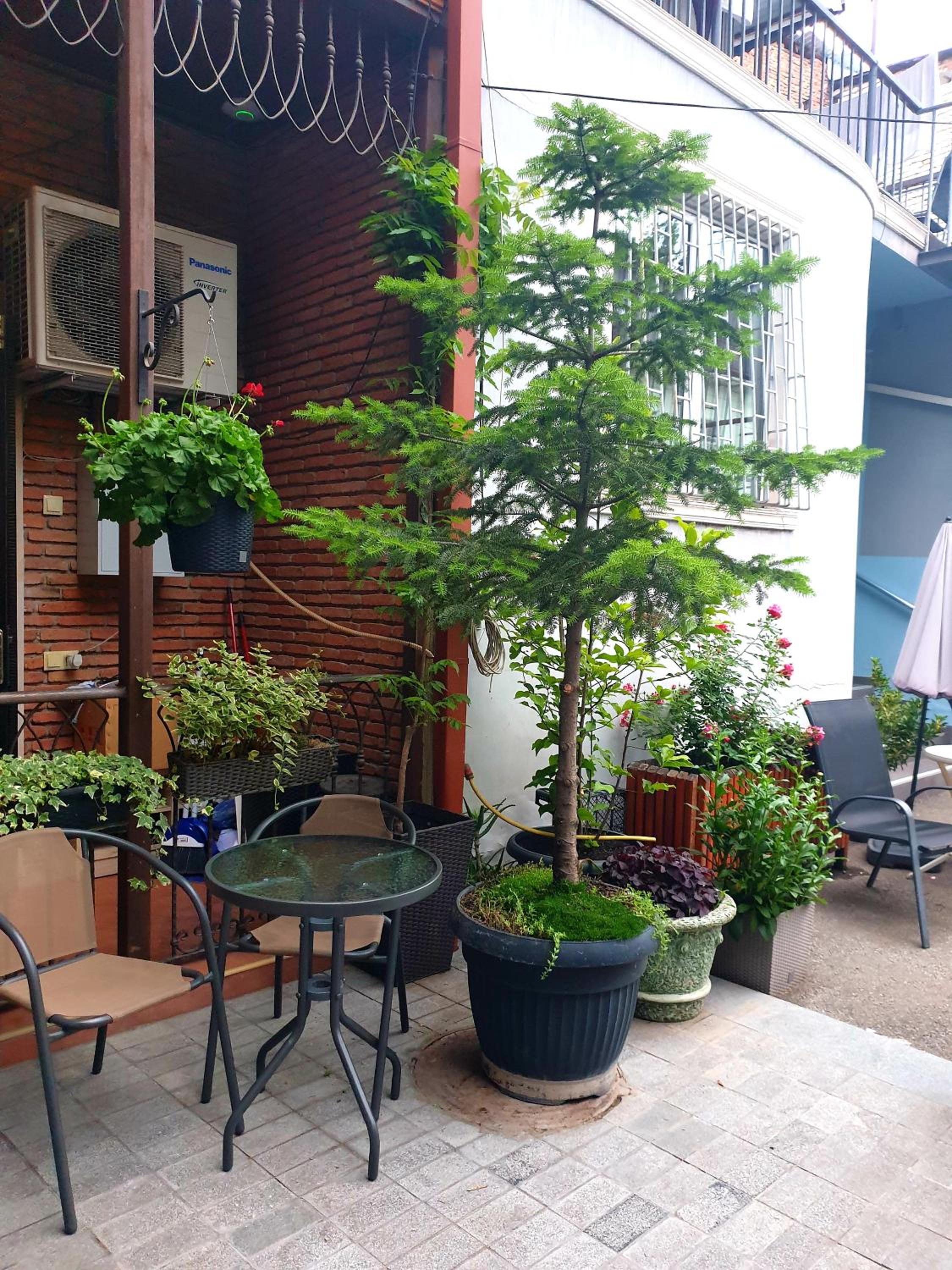 Photo 14