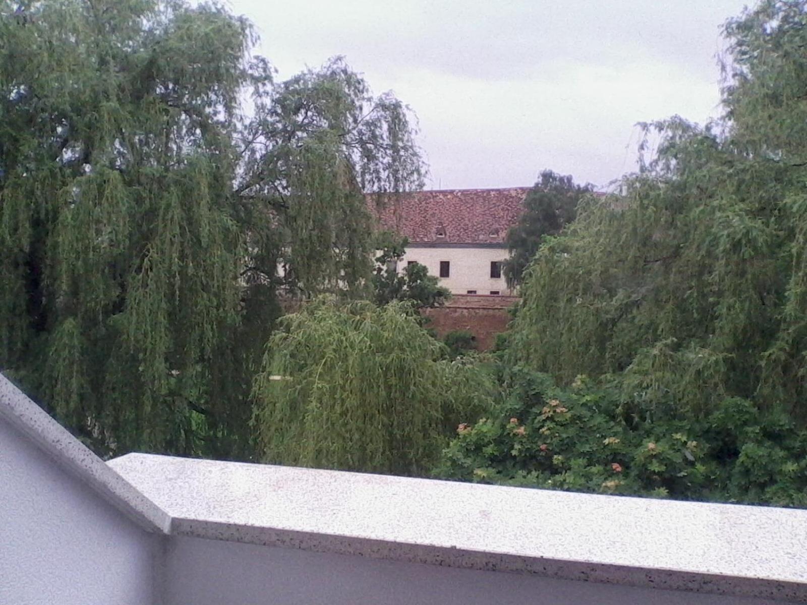 Photo 58