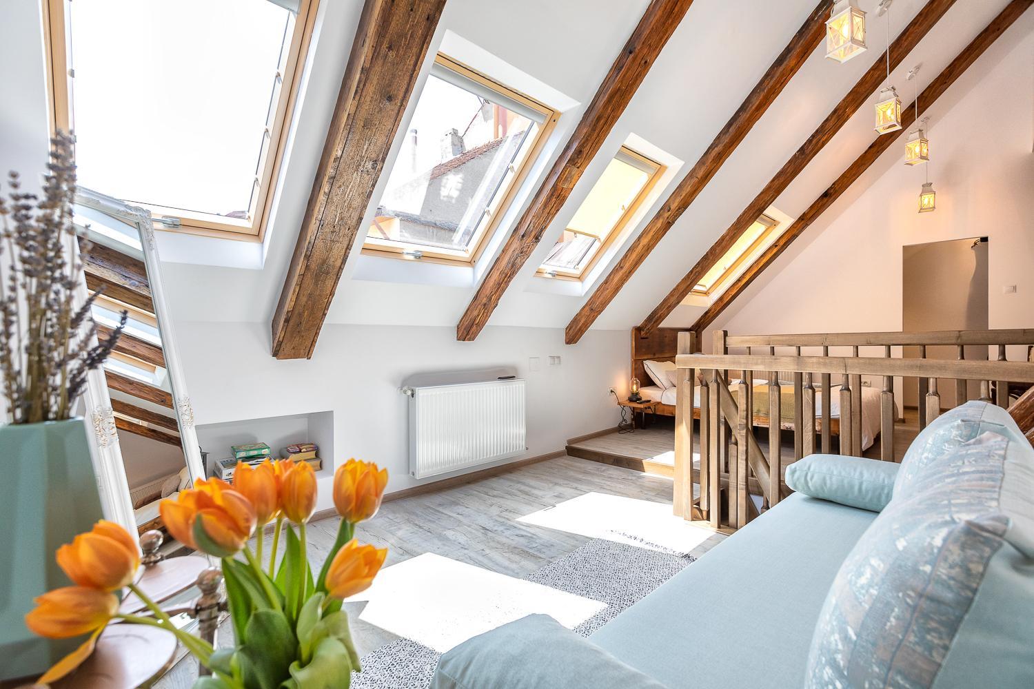 Casa Carolina Brasov view 3