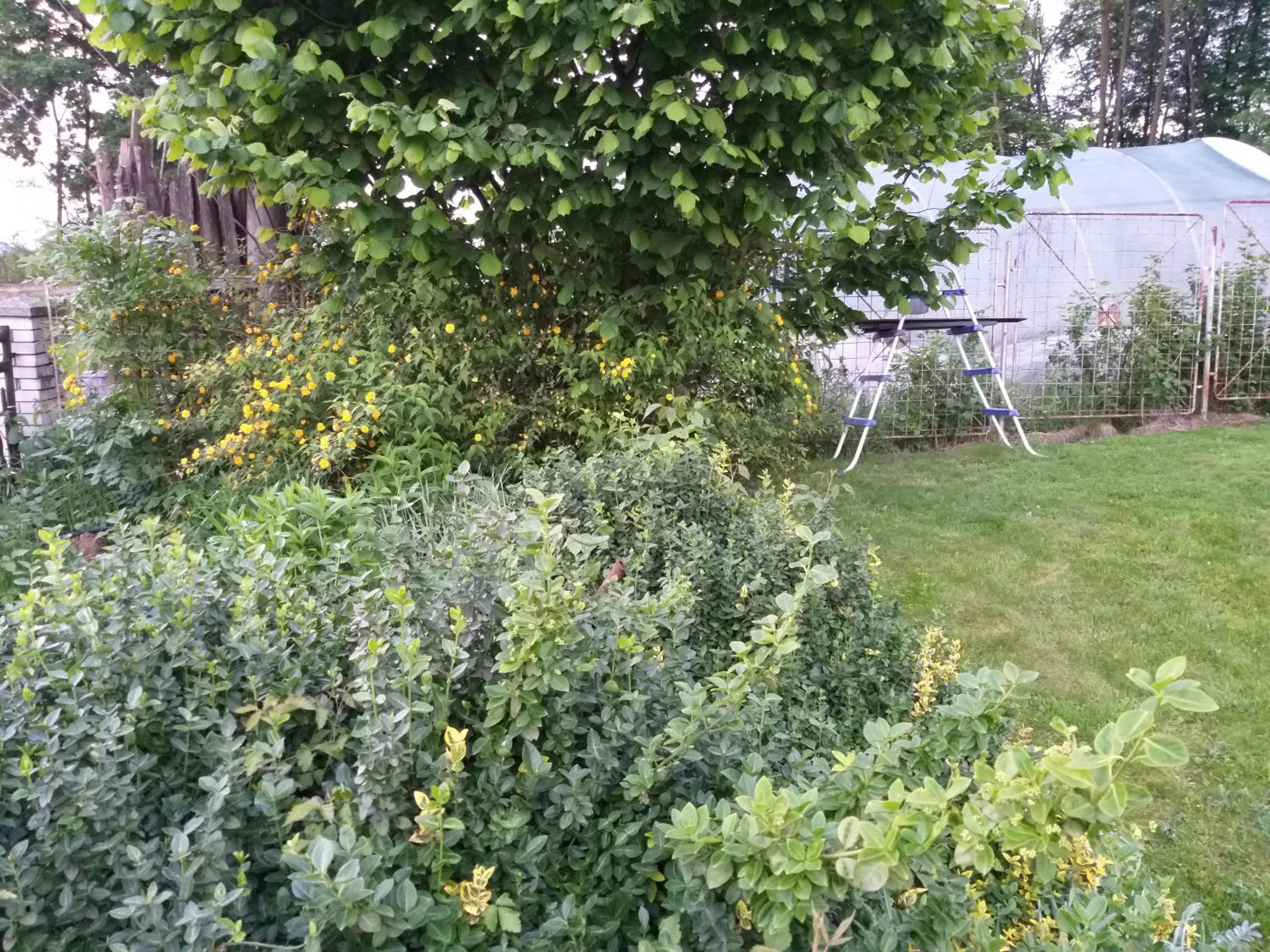 Photo 54