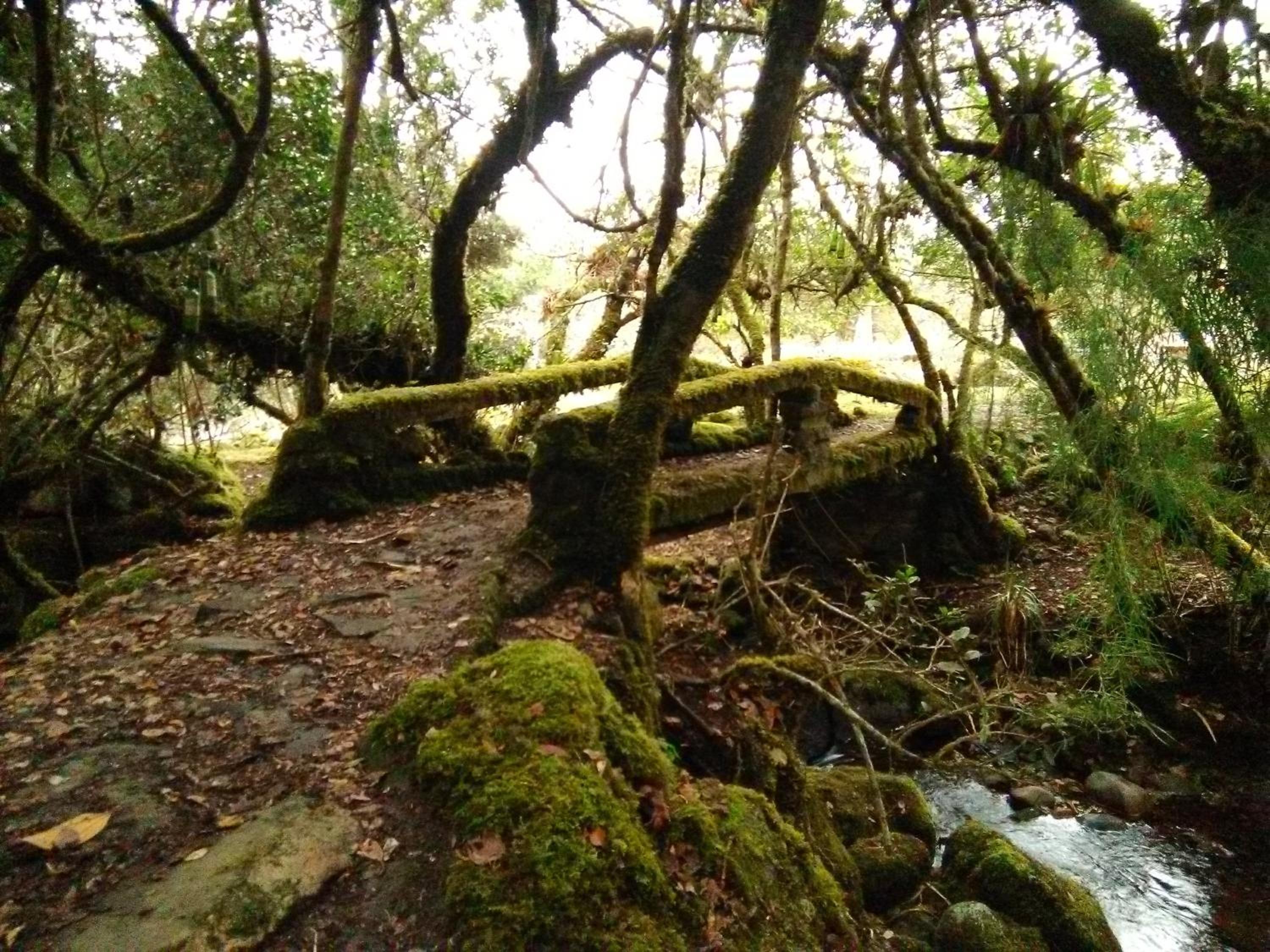 Casa de piedra El Colibrí