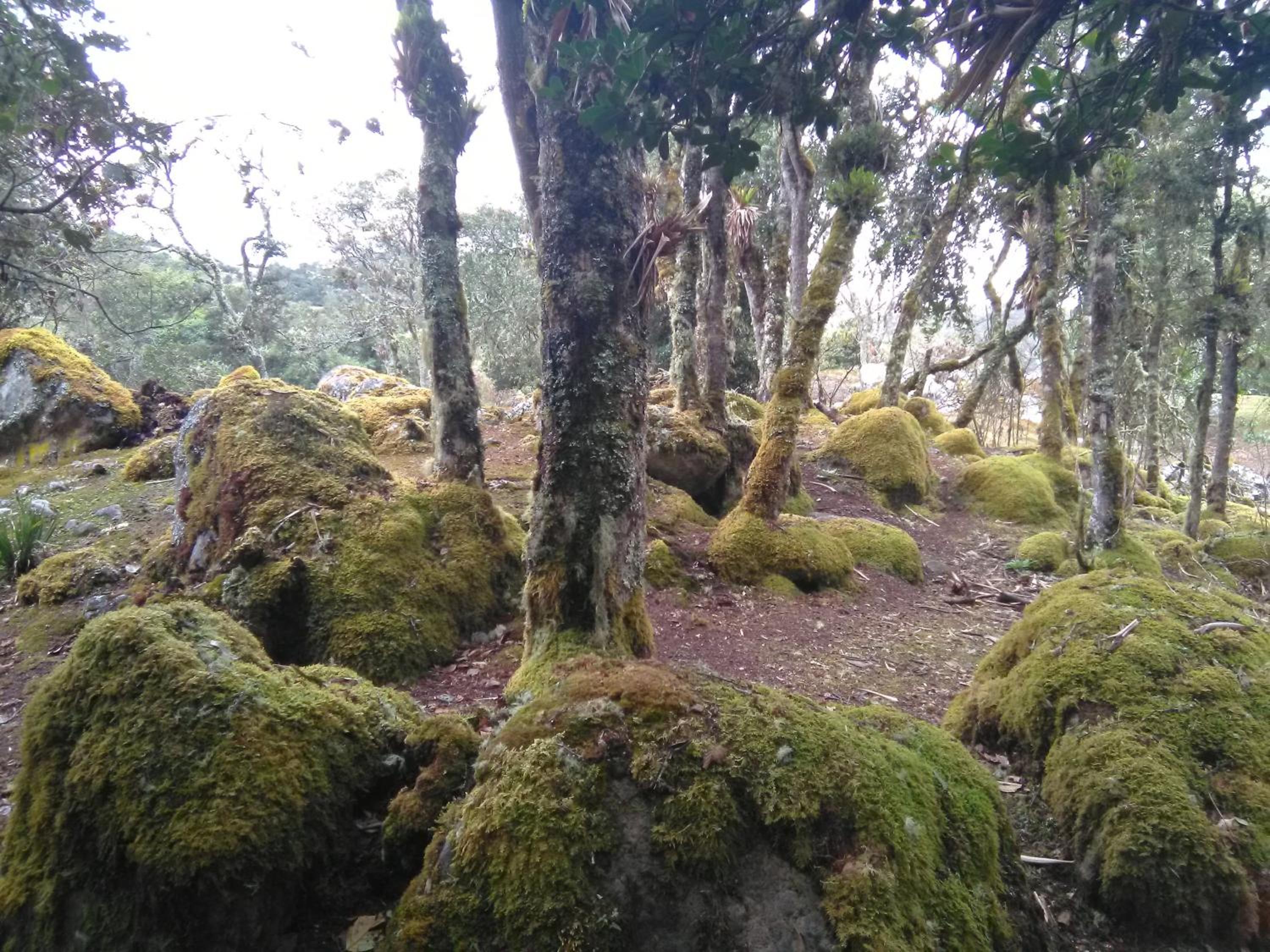Casa de piedra El Colibrí