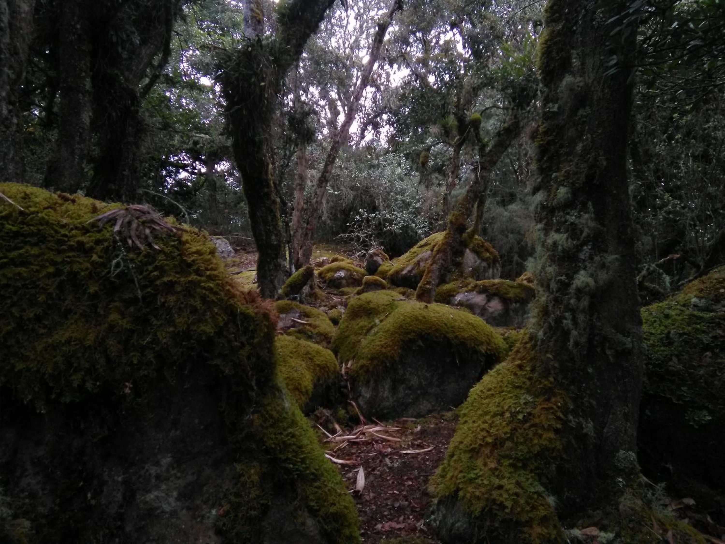 Casa de piedra El Colibrí