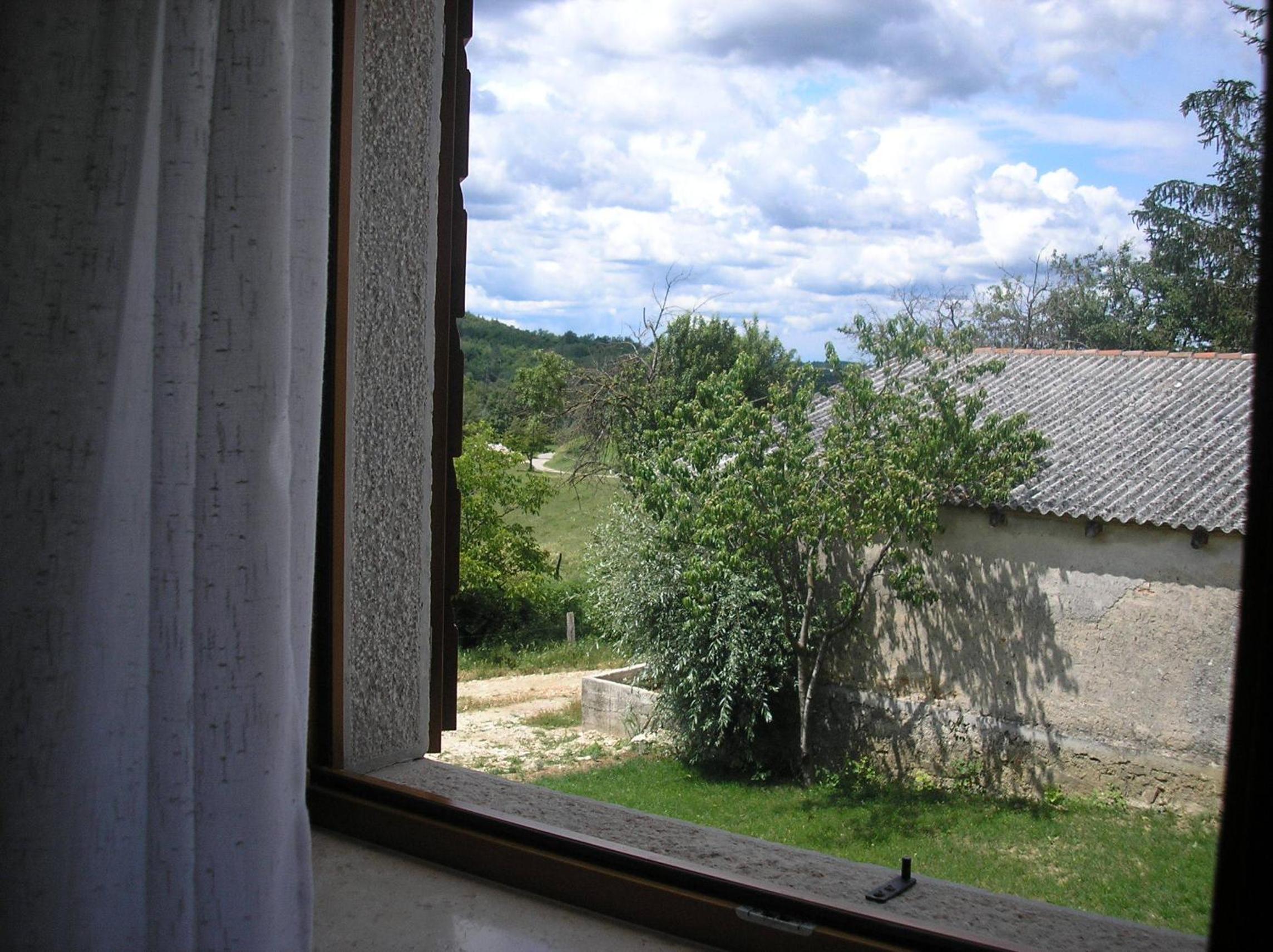 Photo 24