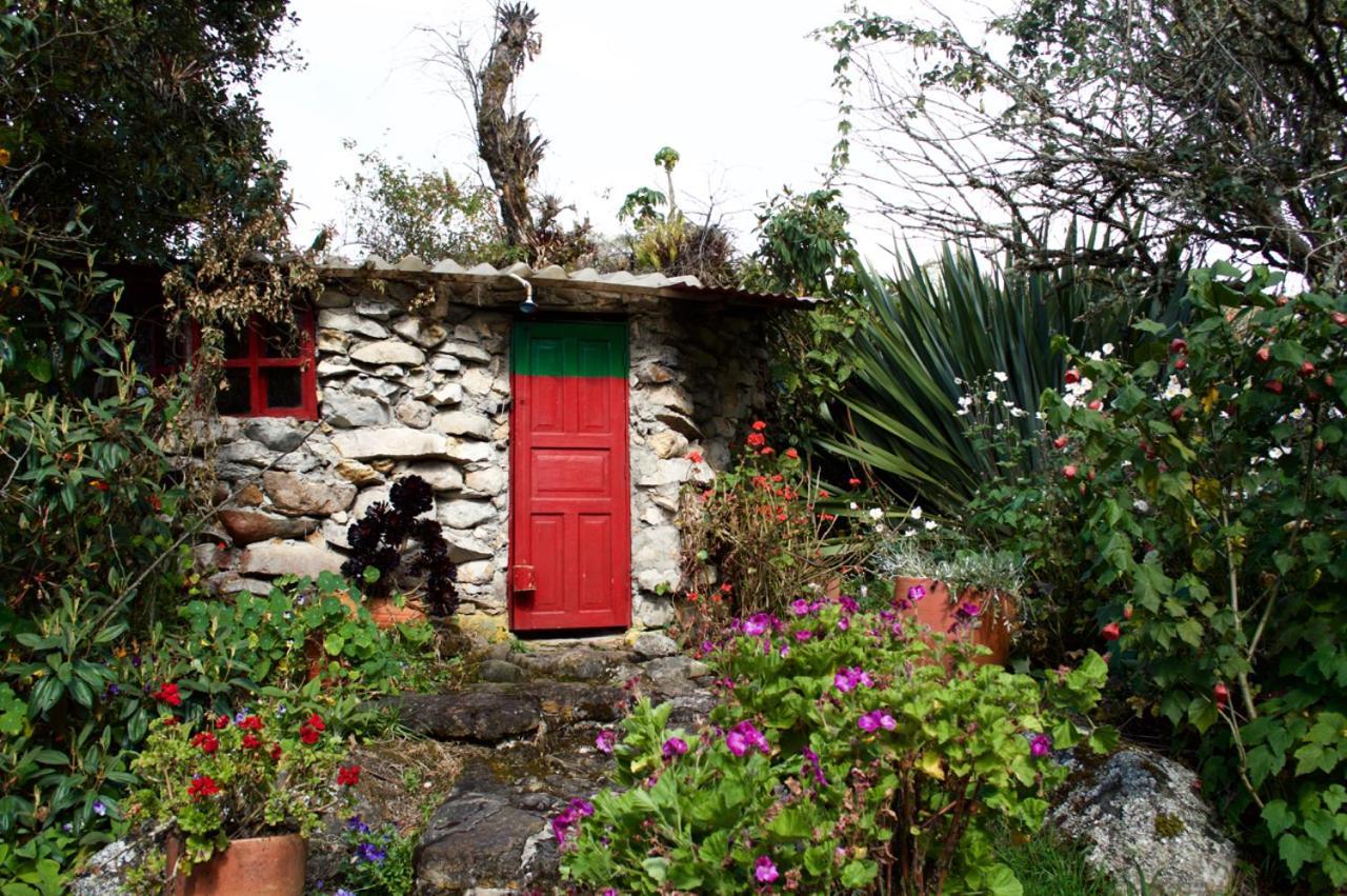 Casa de piedra El Colibrí