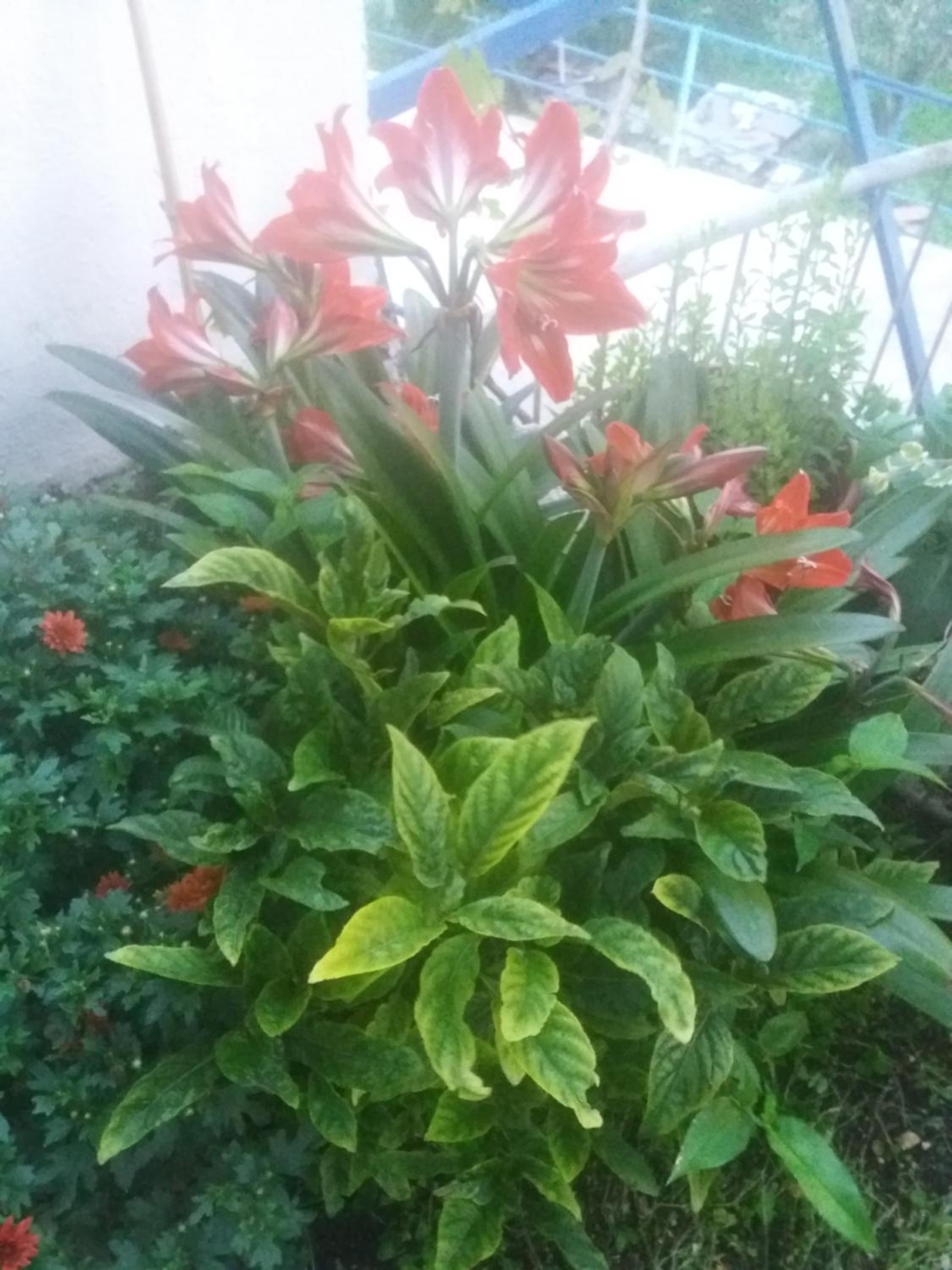 Photo 27