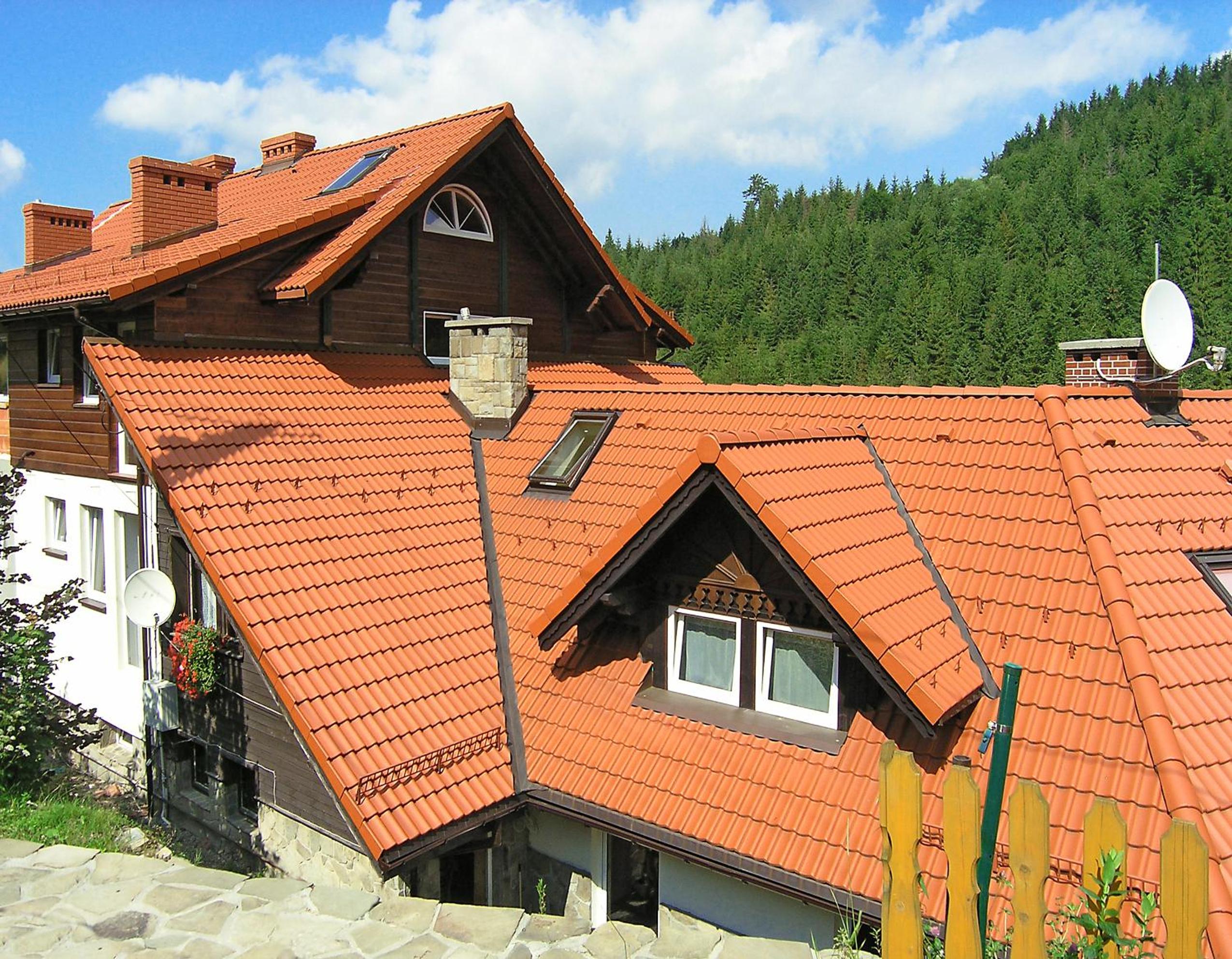 Photo 51