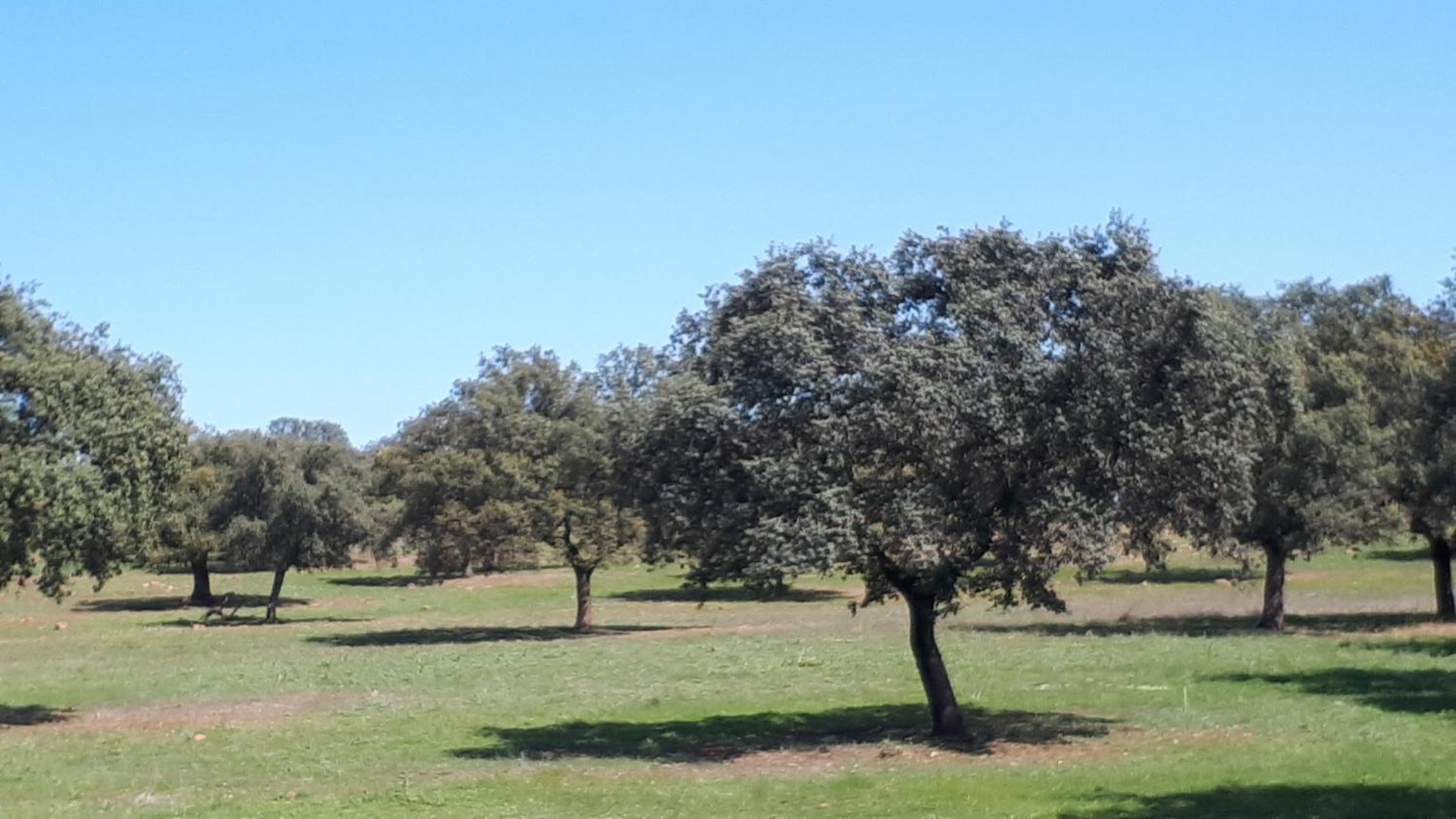 VILLA MARIA view 4