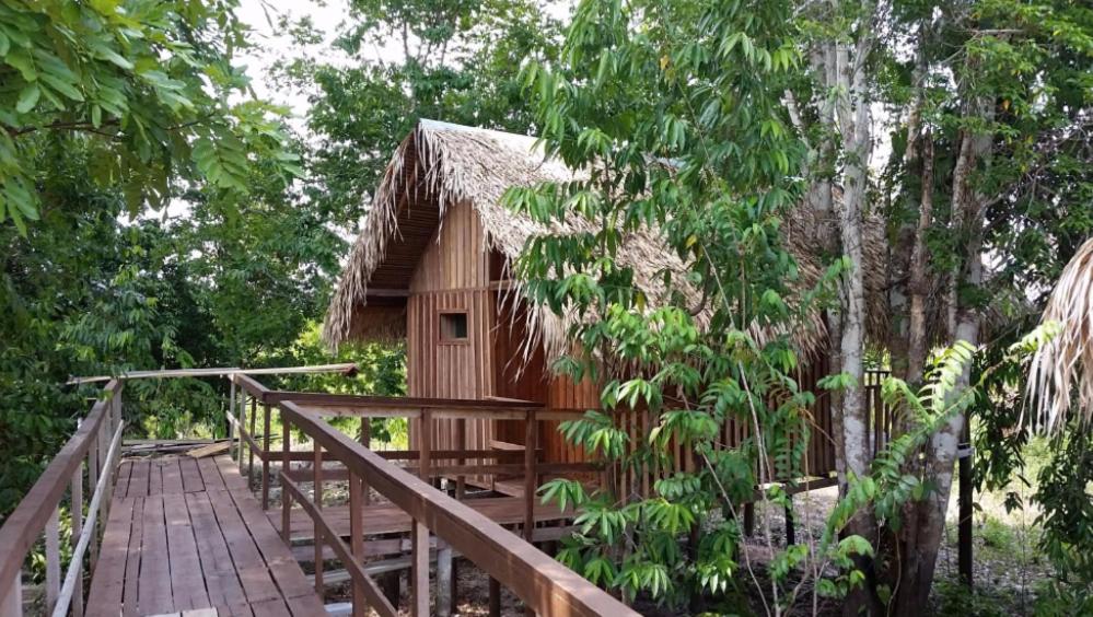 Amazônia Exxperience