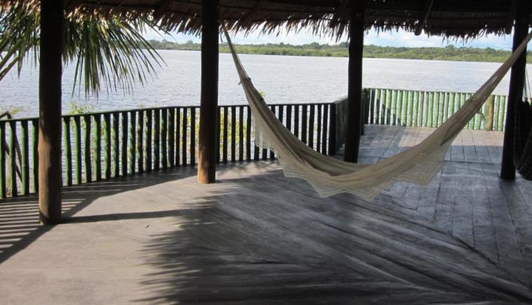 Amazônia Exxperience