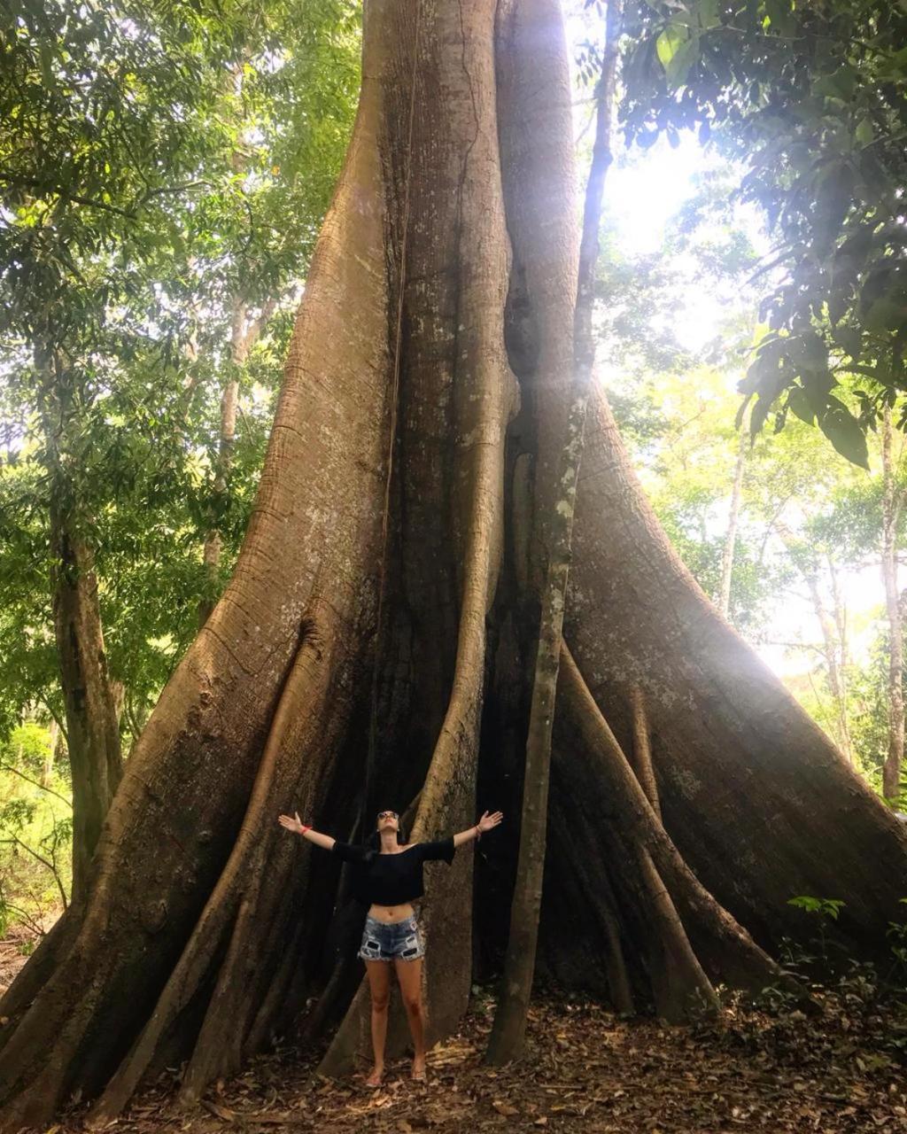 Amazônia Exxperience